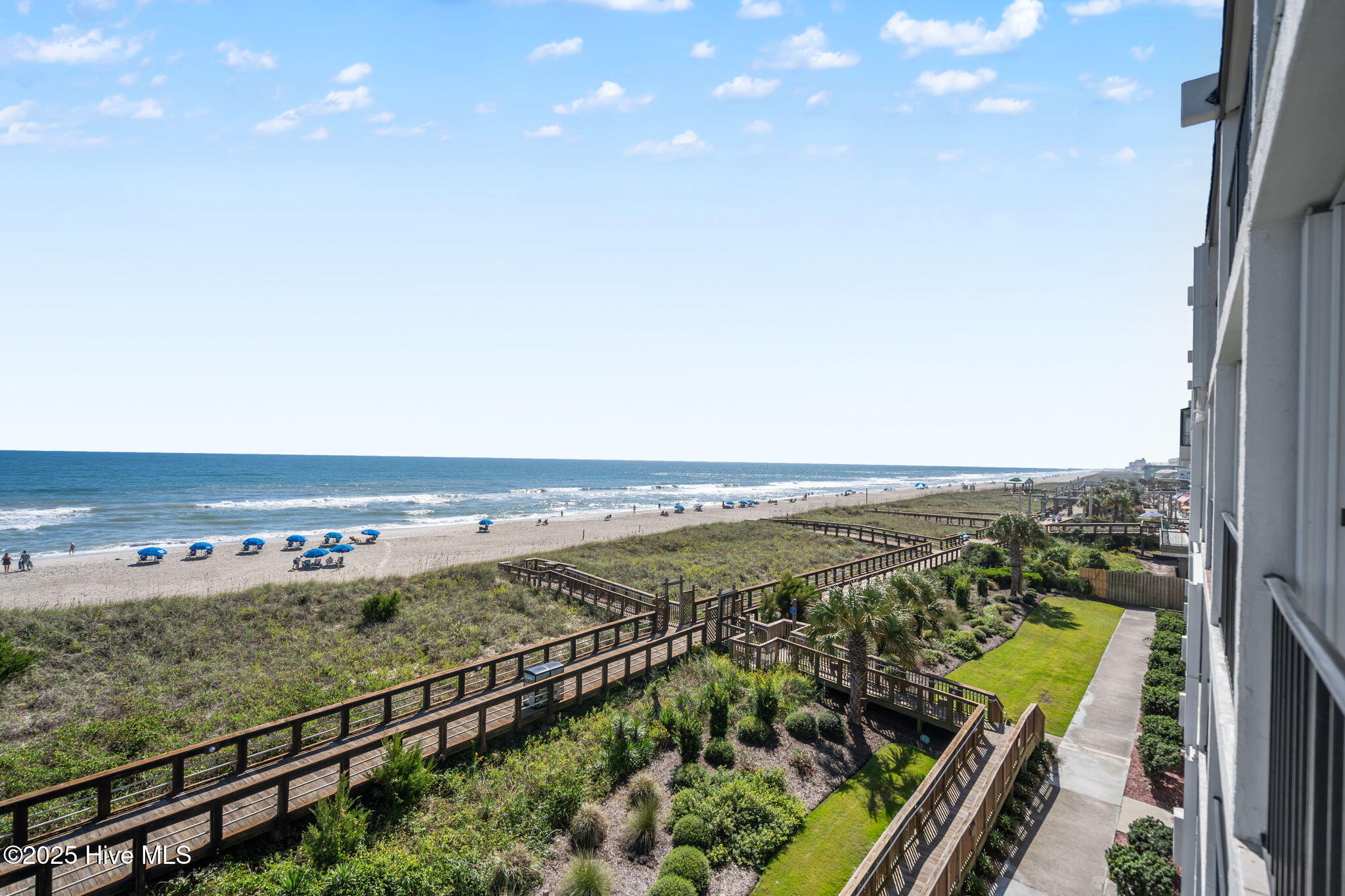 100535263 | Photo 20