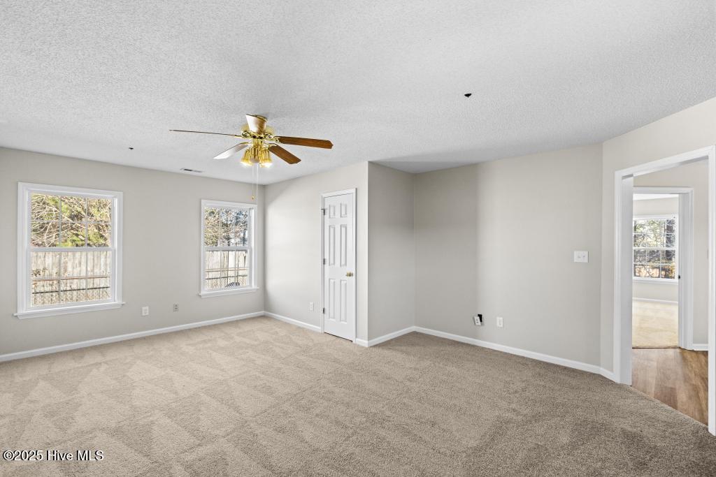 100546857 | Photo 24