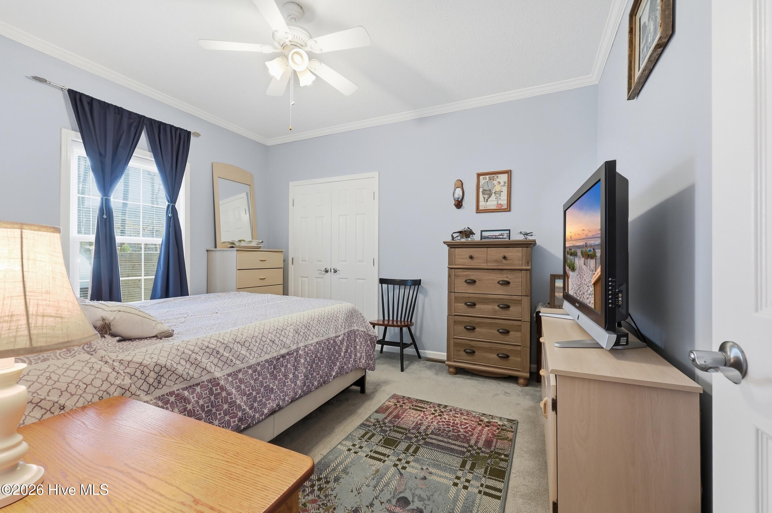 100561141 | Photo 32