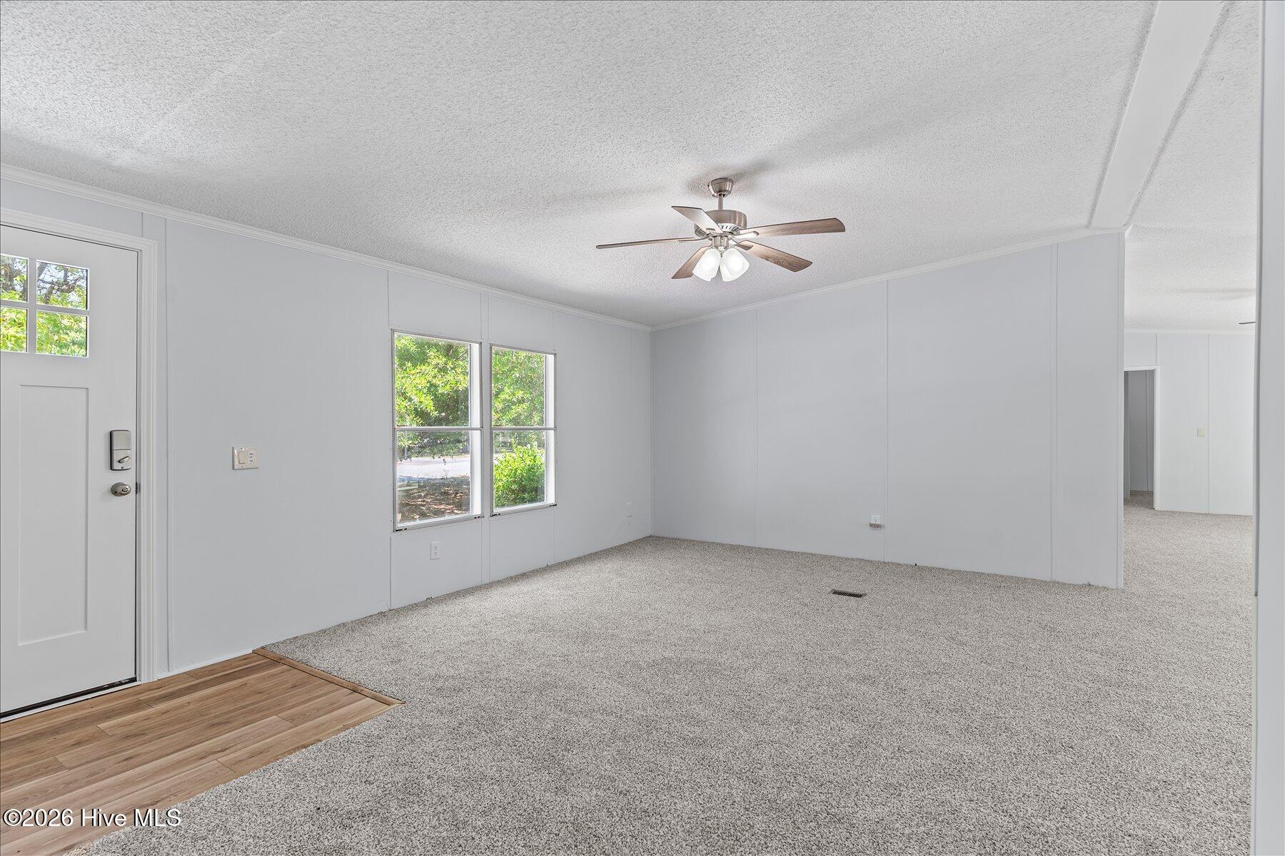 100567568 | Photo 13