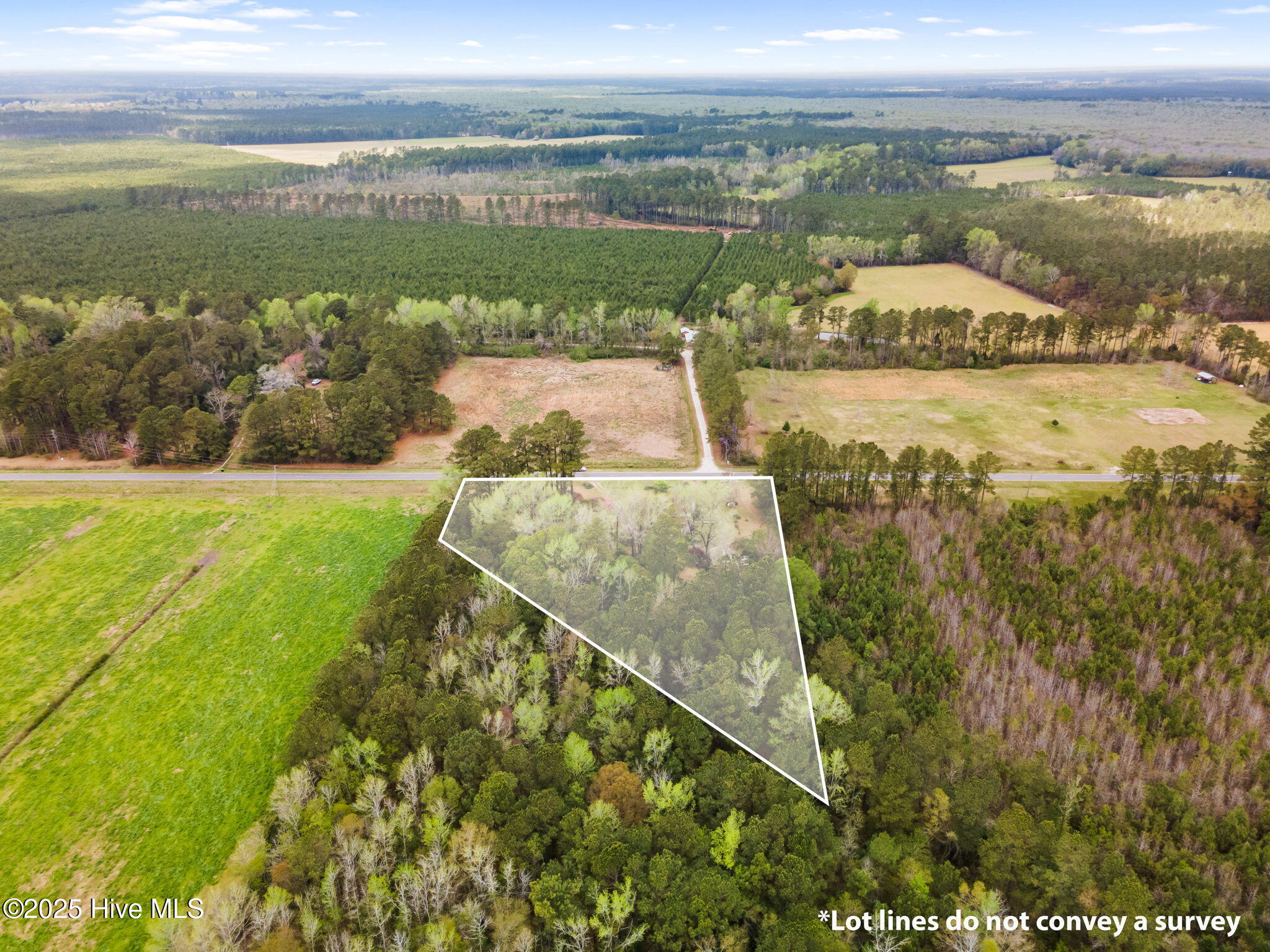 100499054 | Photo 51