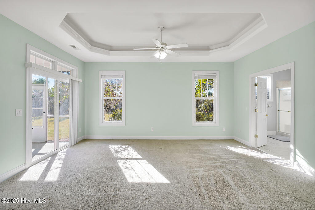 100531684 | Photo 15