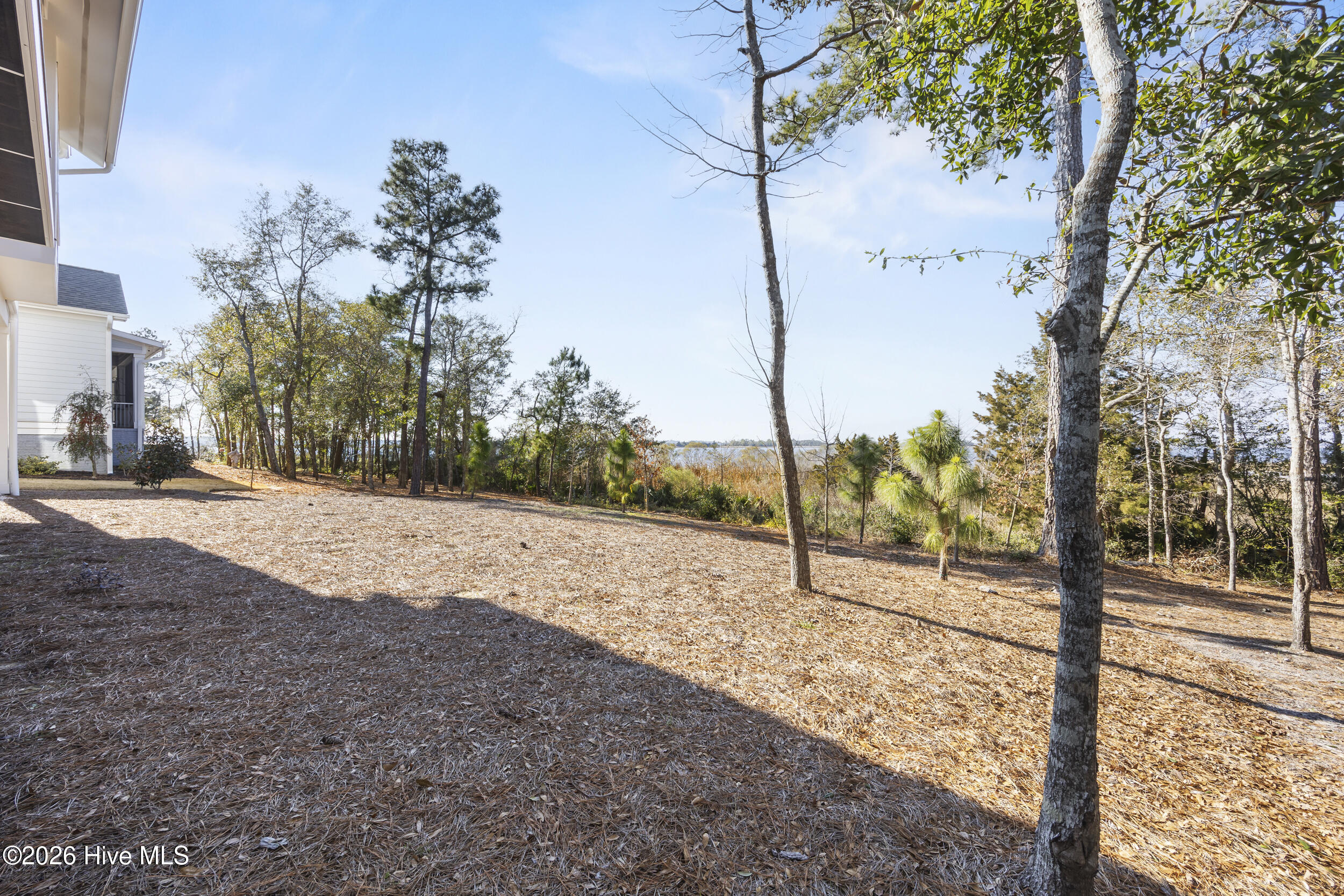 100553352 | Photo 57