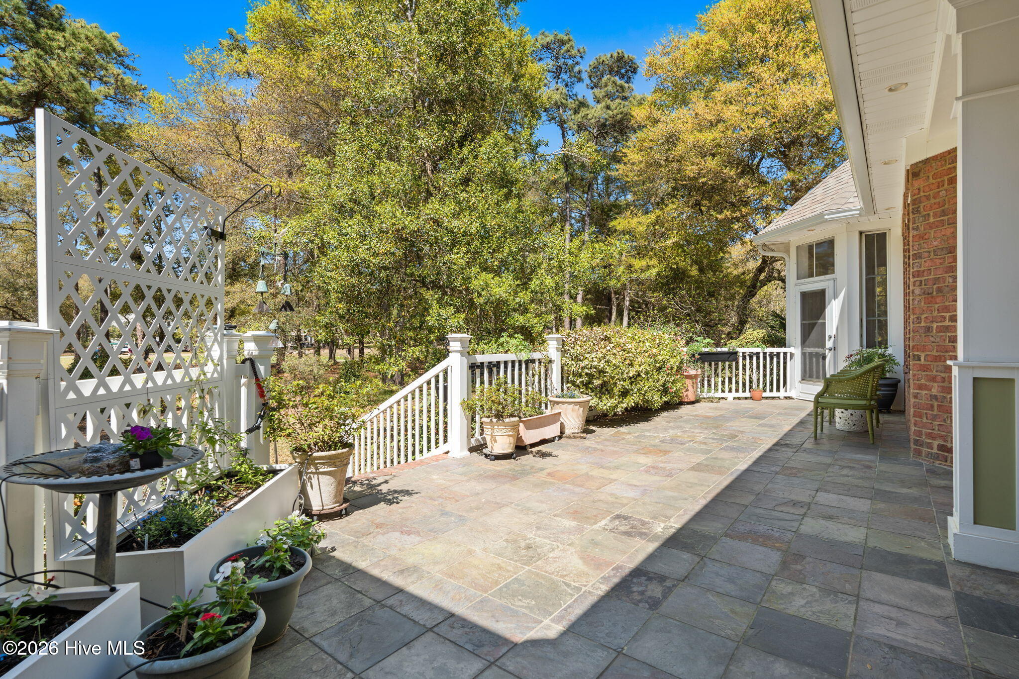 100564903 | Photo 51