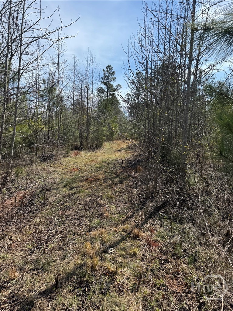 738 Old Mineral Springs Road, Elberton, GA, 30635