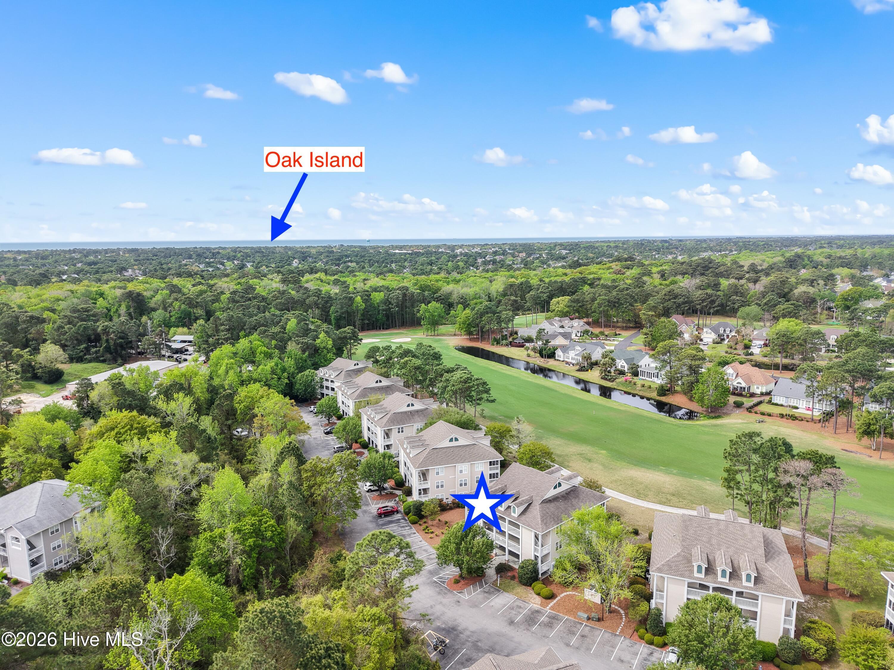 100565554 | Photo 33