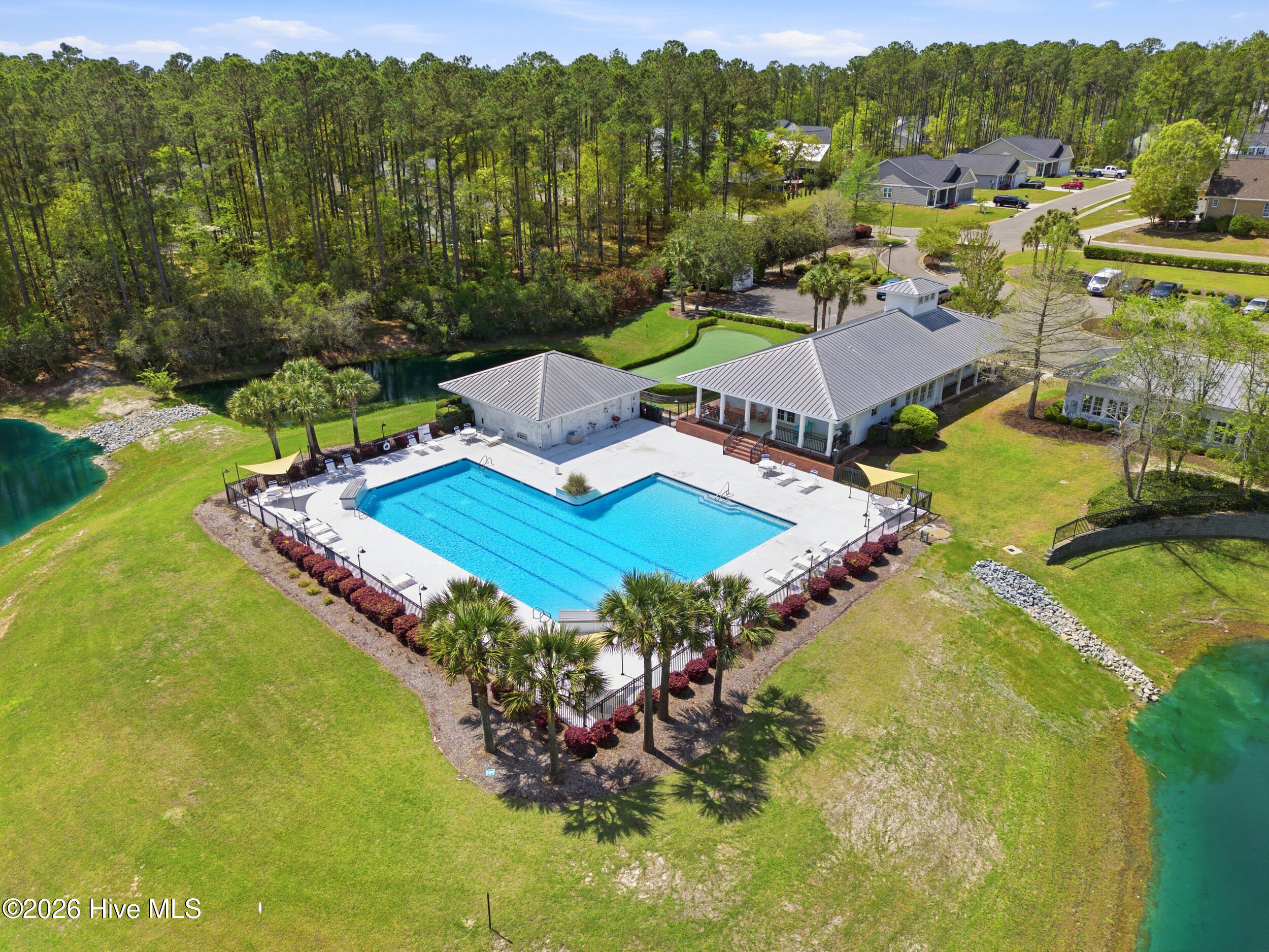 100565948 | Photo 48