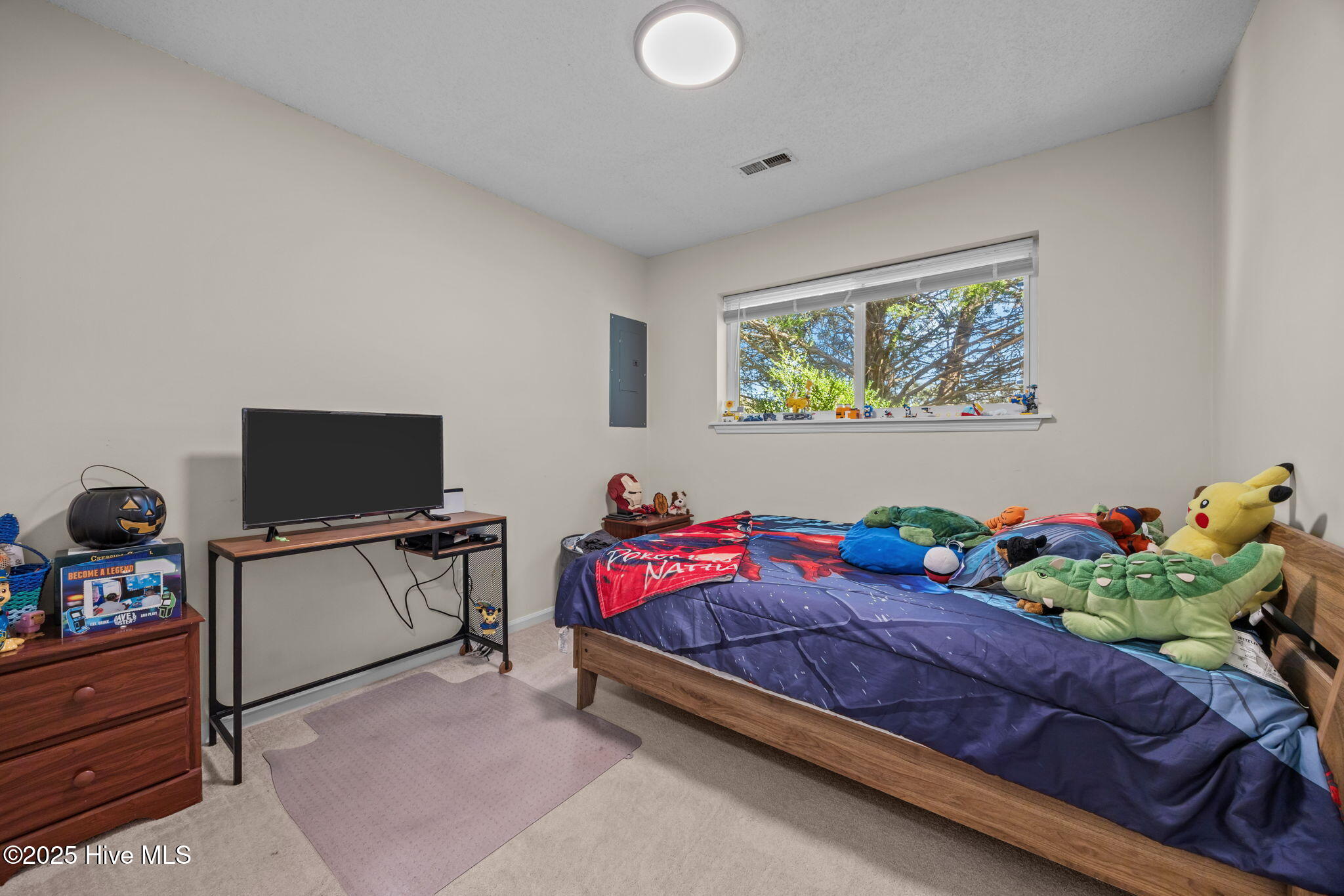 100515251 | Photo 15