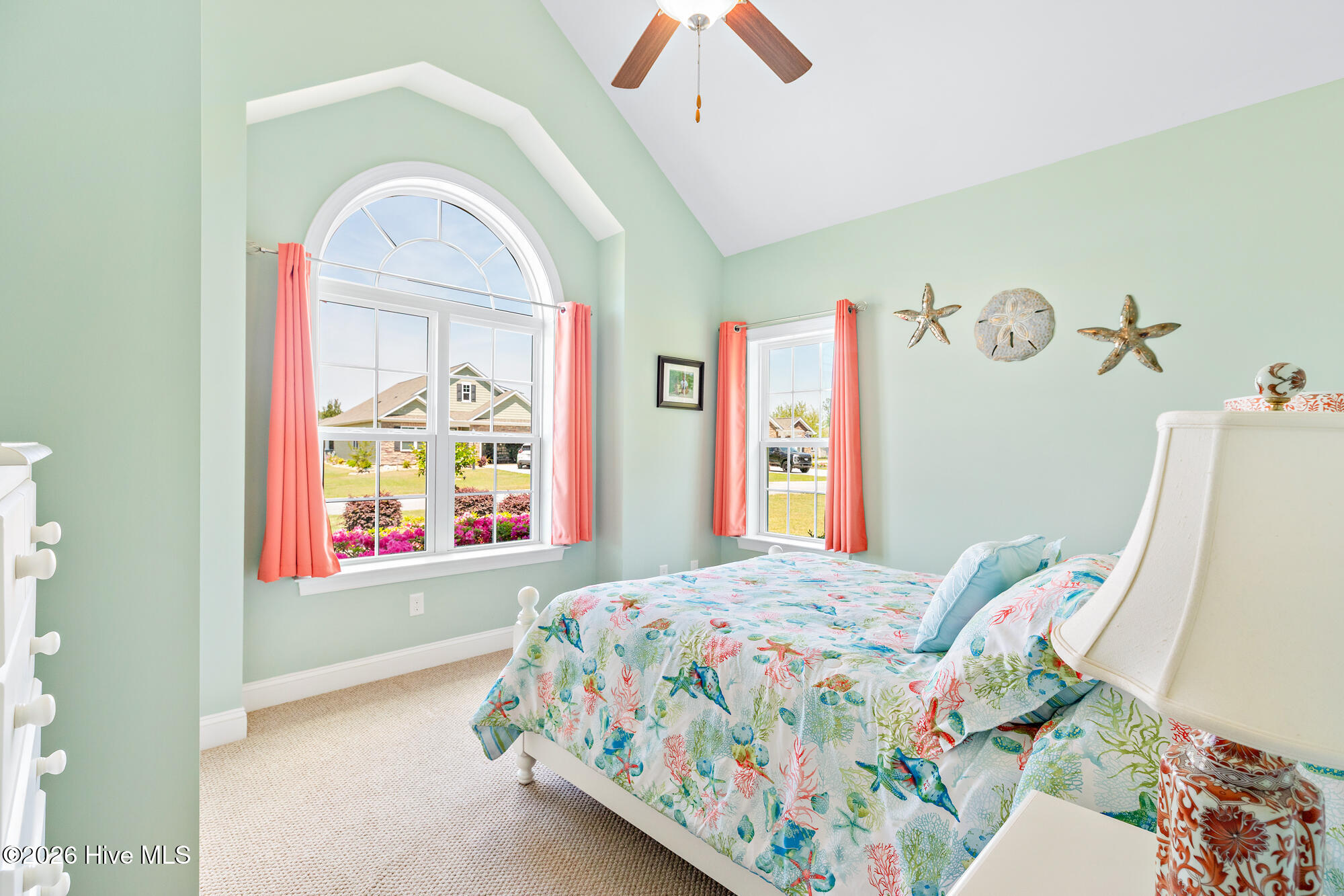 100567738 | Photo 32