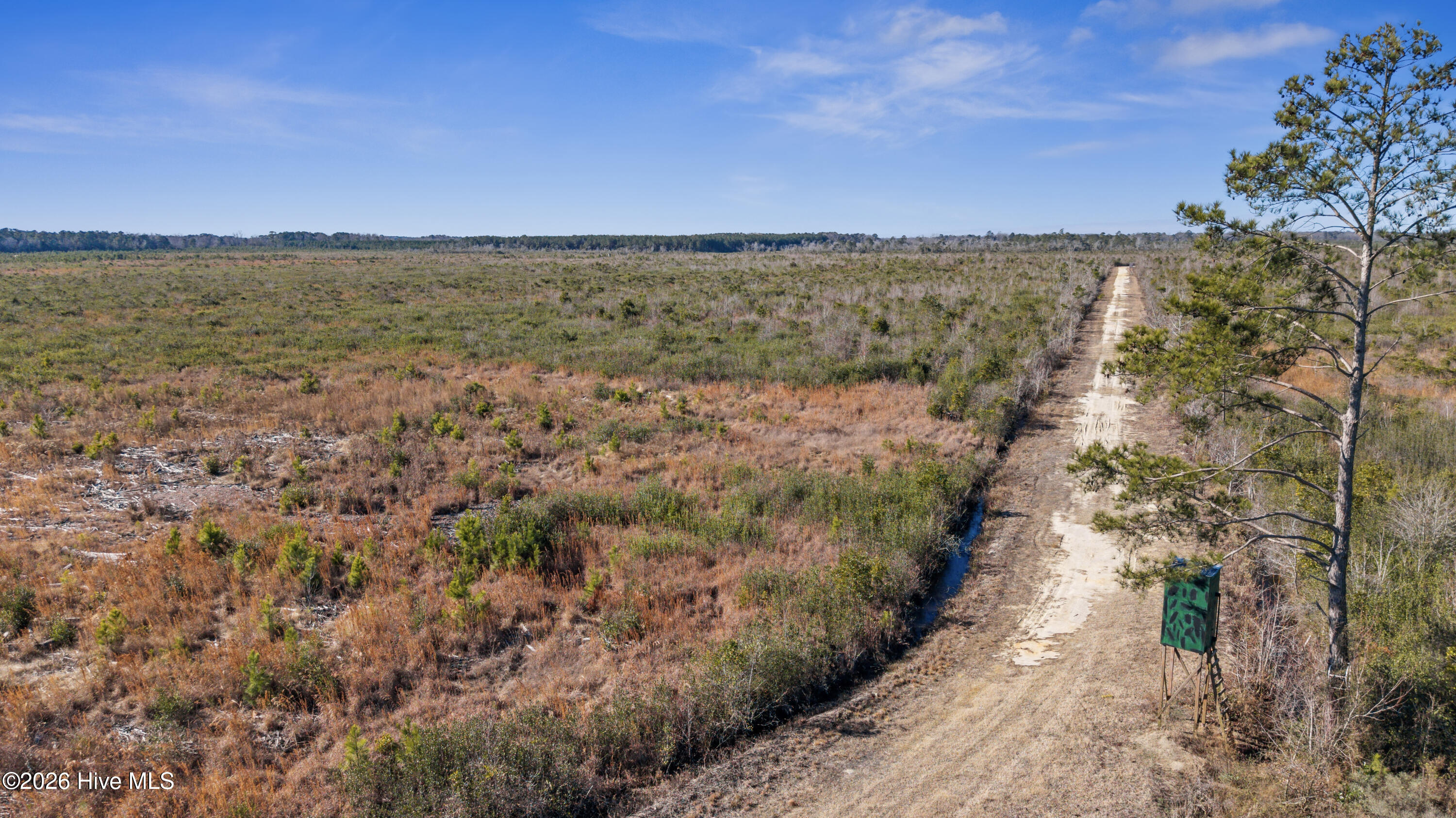 Homes for sale in Rose Hill, NC | 700 Acres Earl Davis Rd, Rose Hill, NC 28458 | MLS# 100550886