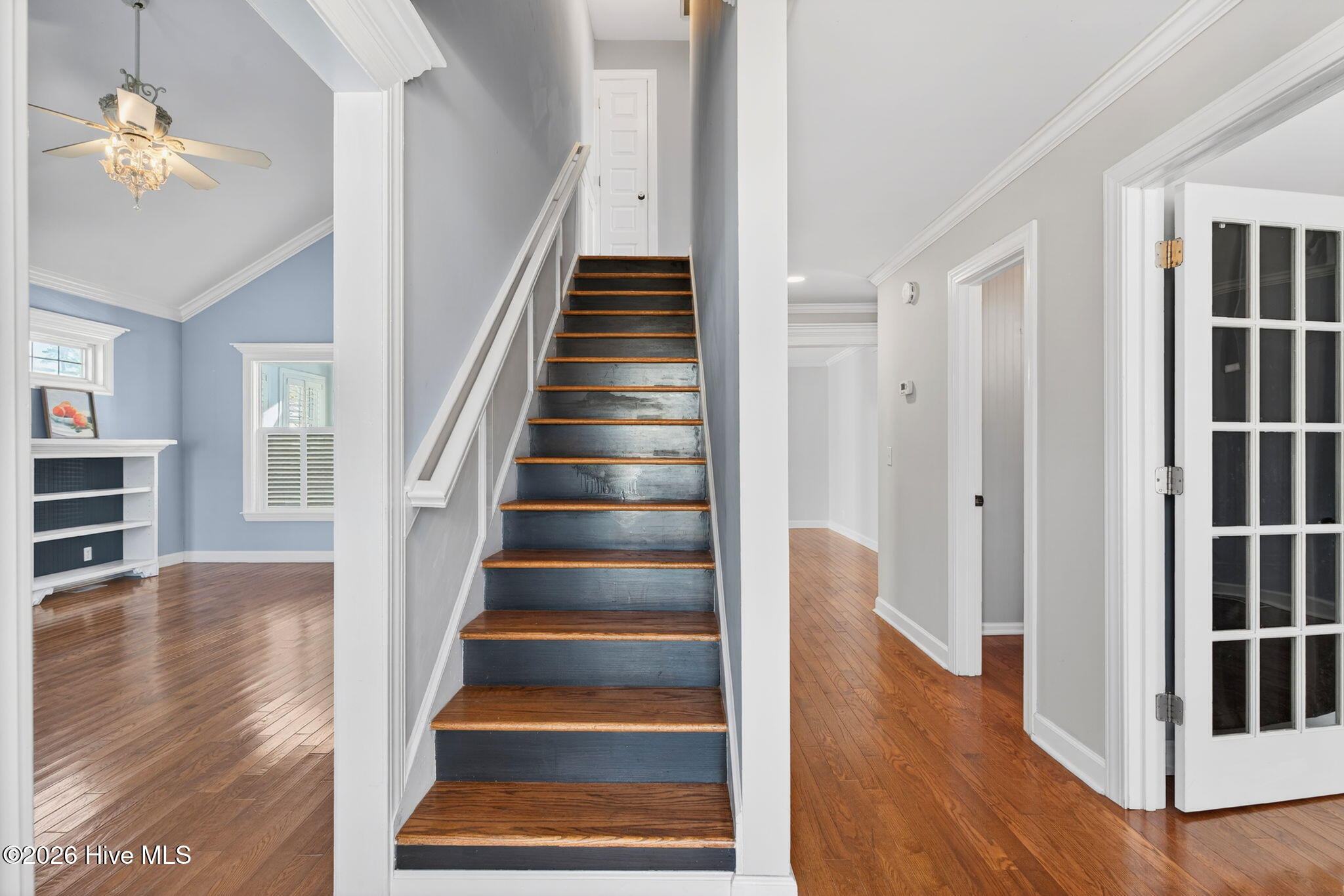 100558194 | Photo 13