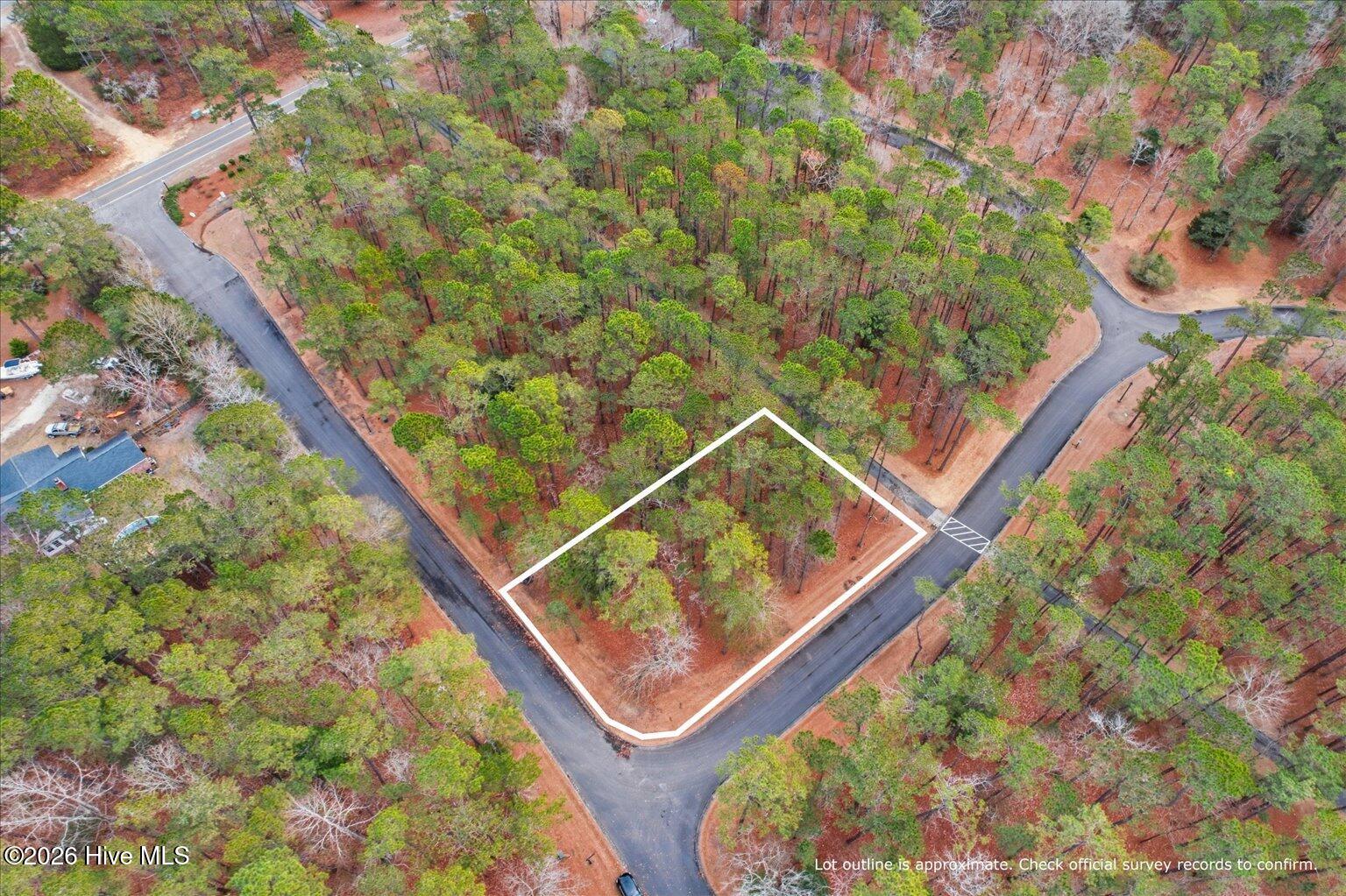 100555112 | Photo 29