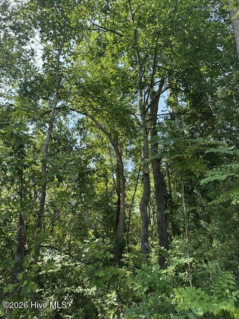 Non waterfront wooded area- some marsh on this side