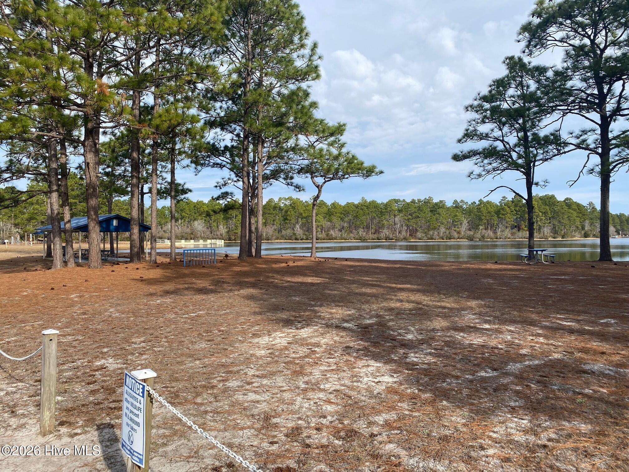 100549553 | Photo 11