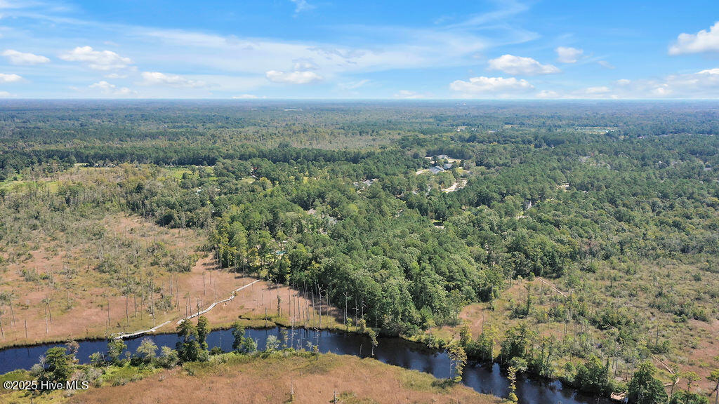 100527669 | Photo 11