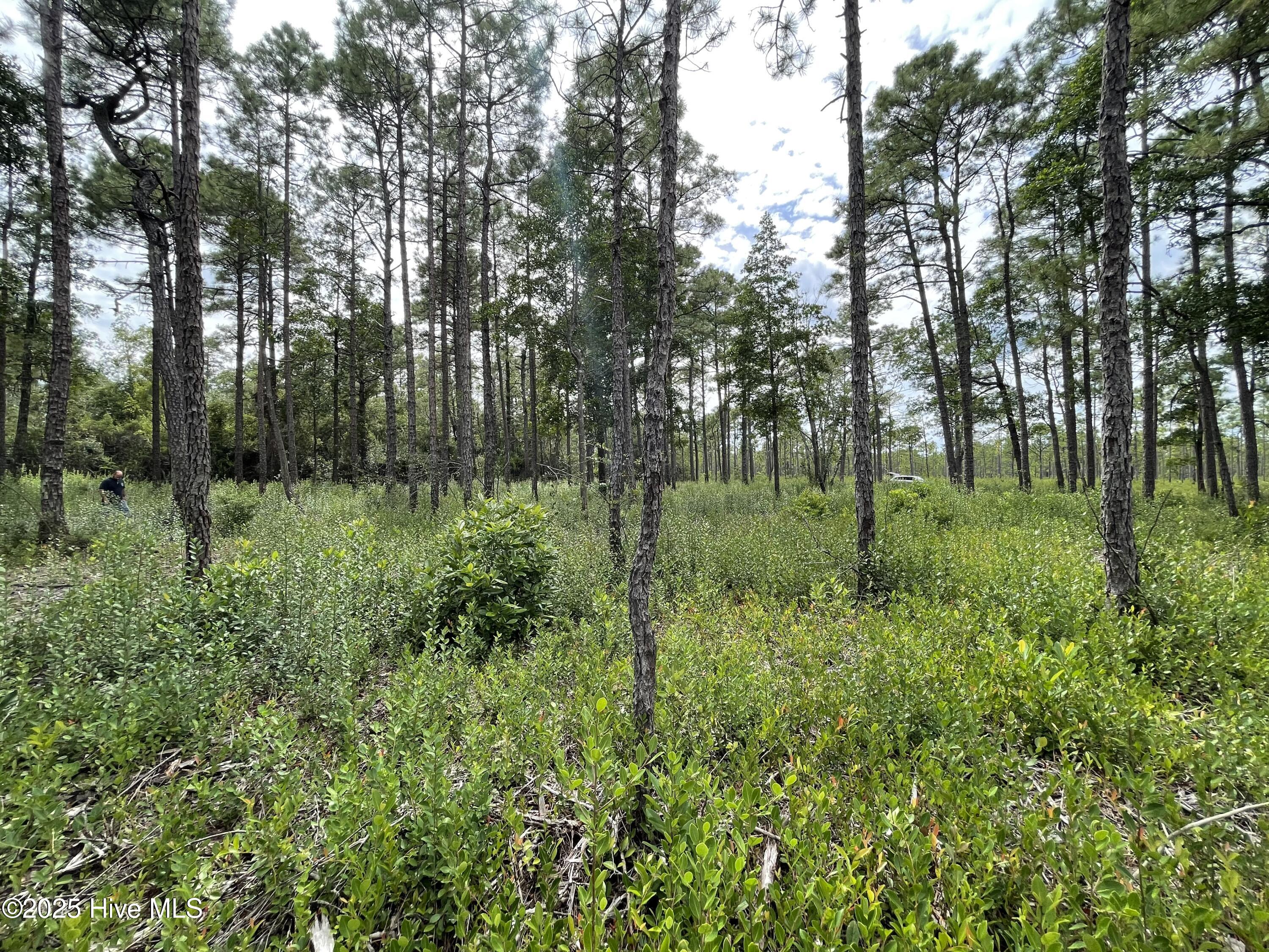 100527891 | Photo 12