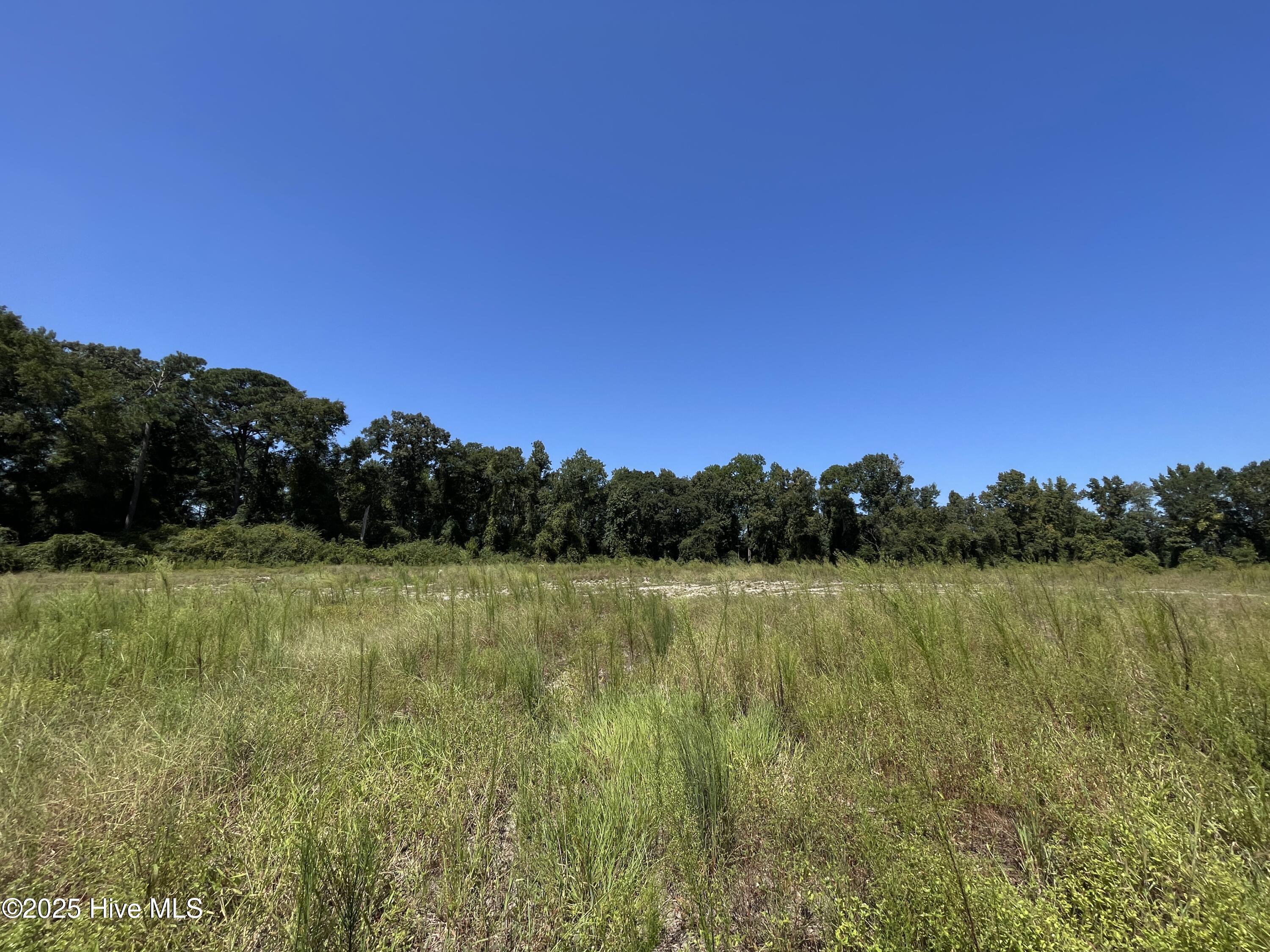 Homes for sale in Clinton, NC | 000 Sandy Ln, Clinton, NC 28328 | MLS# 100543691