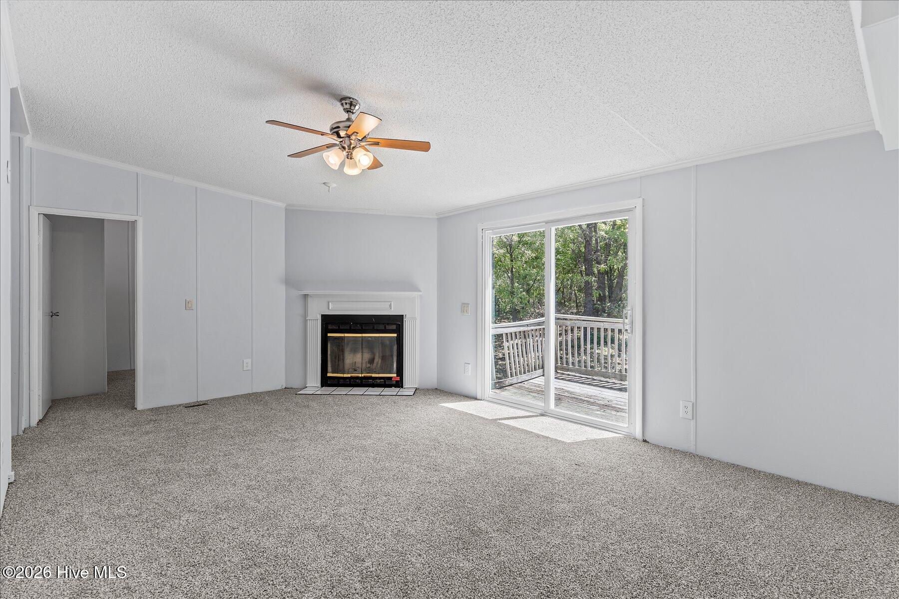 100567568 | Photo 22