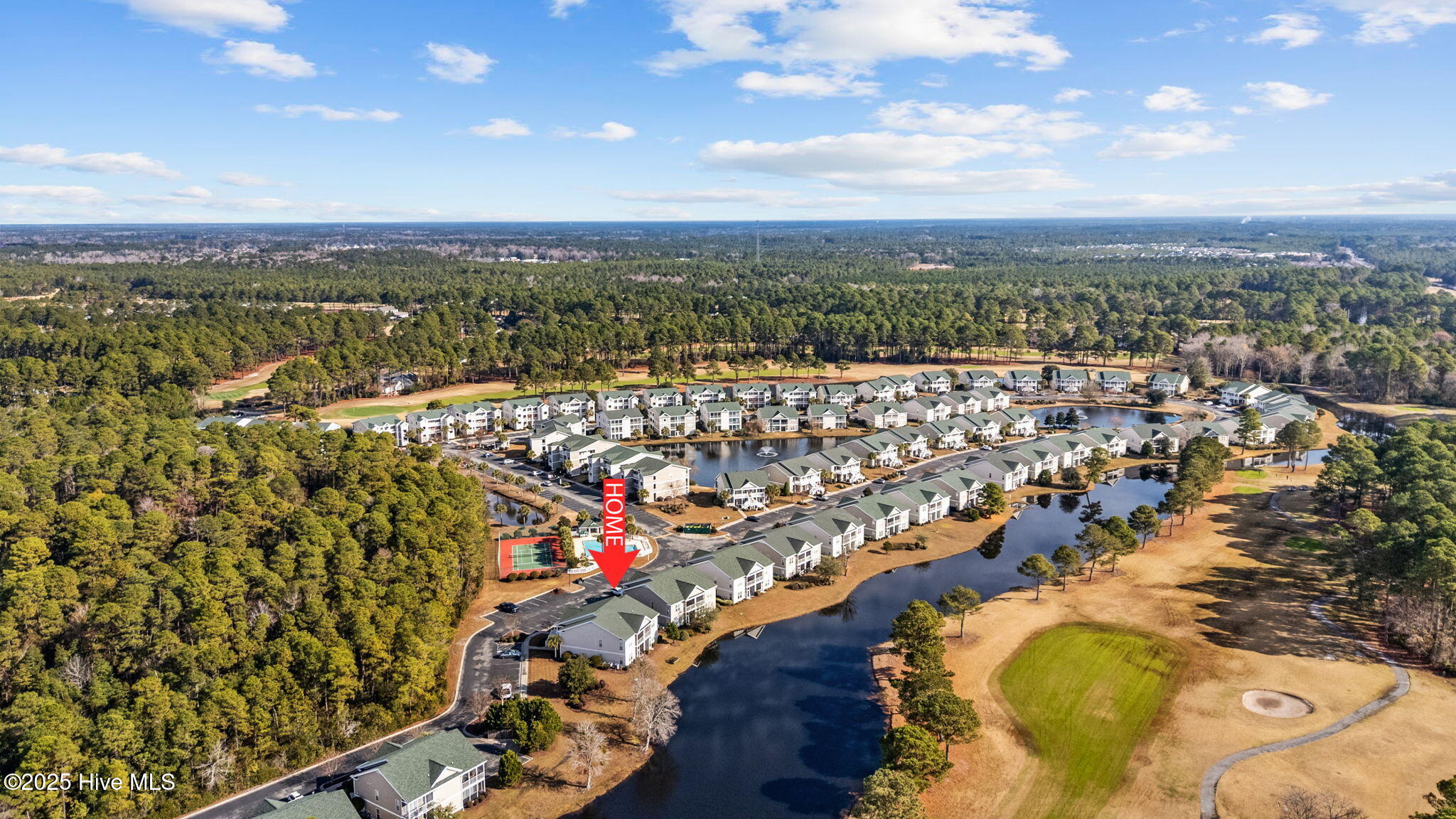 100546293 | Photo 30