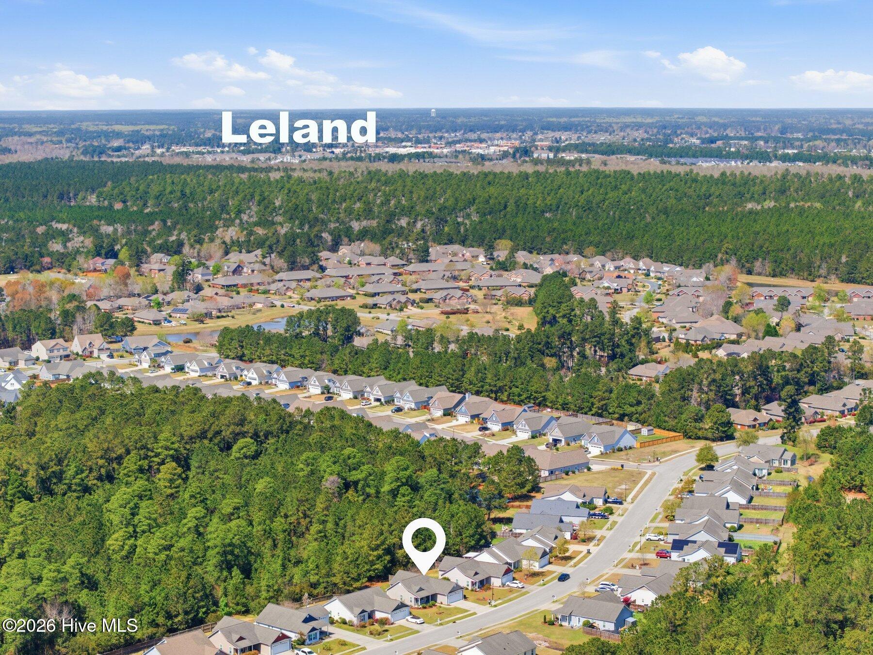 100563197 | Photo 33