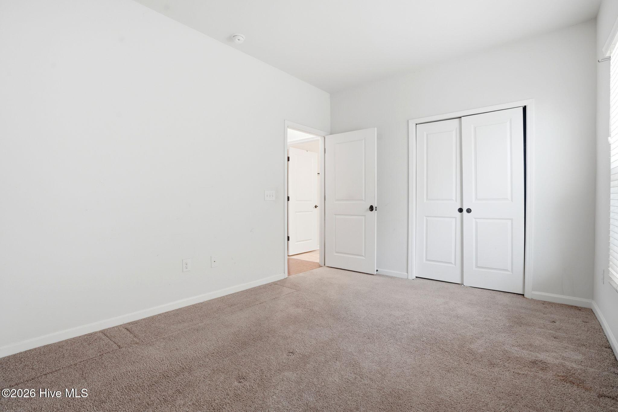 100560381 | Photo 19