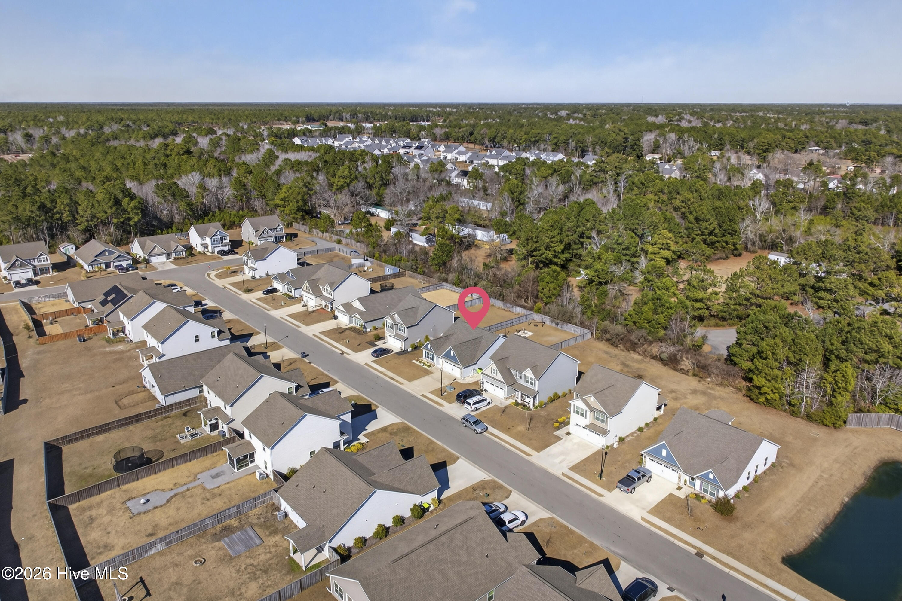 100553083 | Photo 46