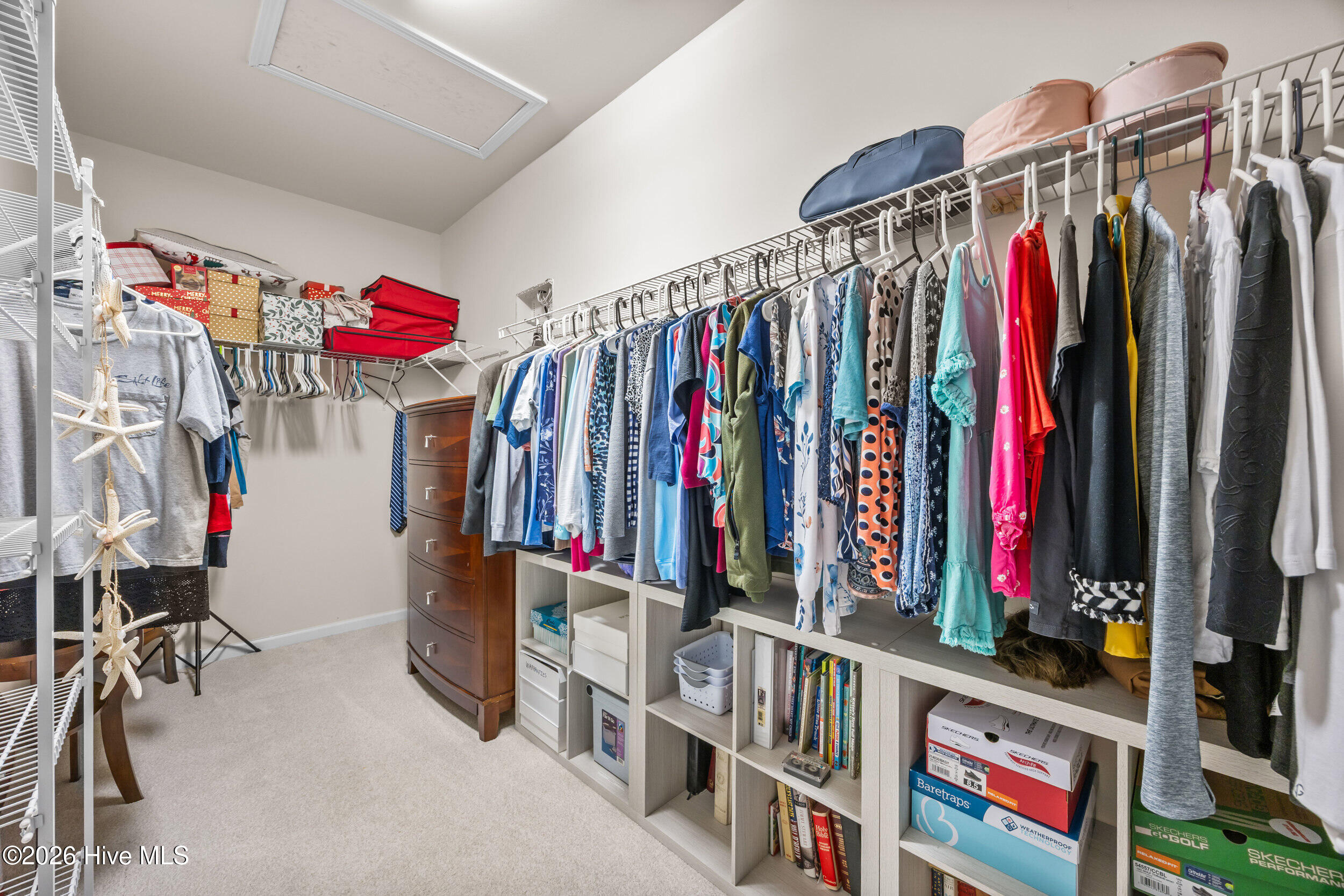 100553871 | Photo 43