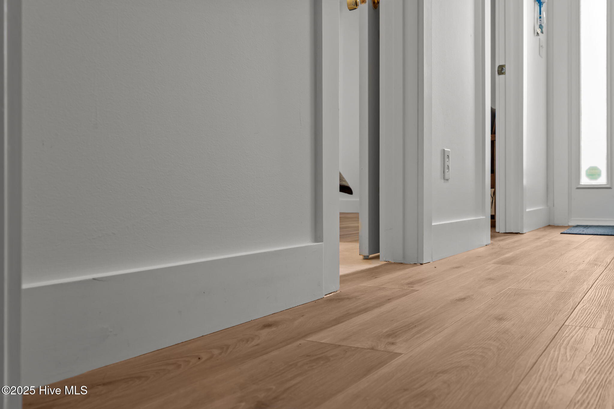 100543916 | Photo 22