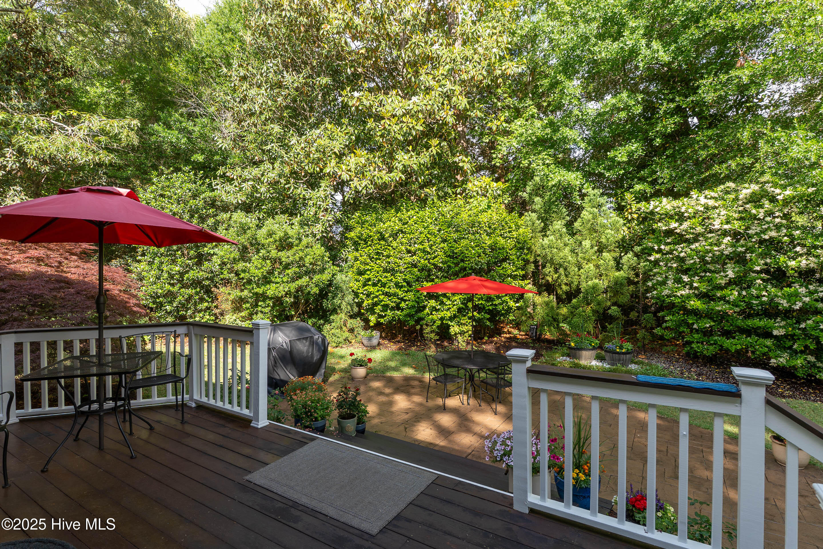 100549732 | Photo 33