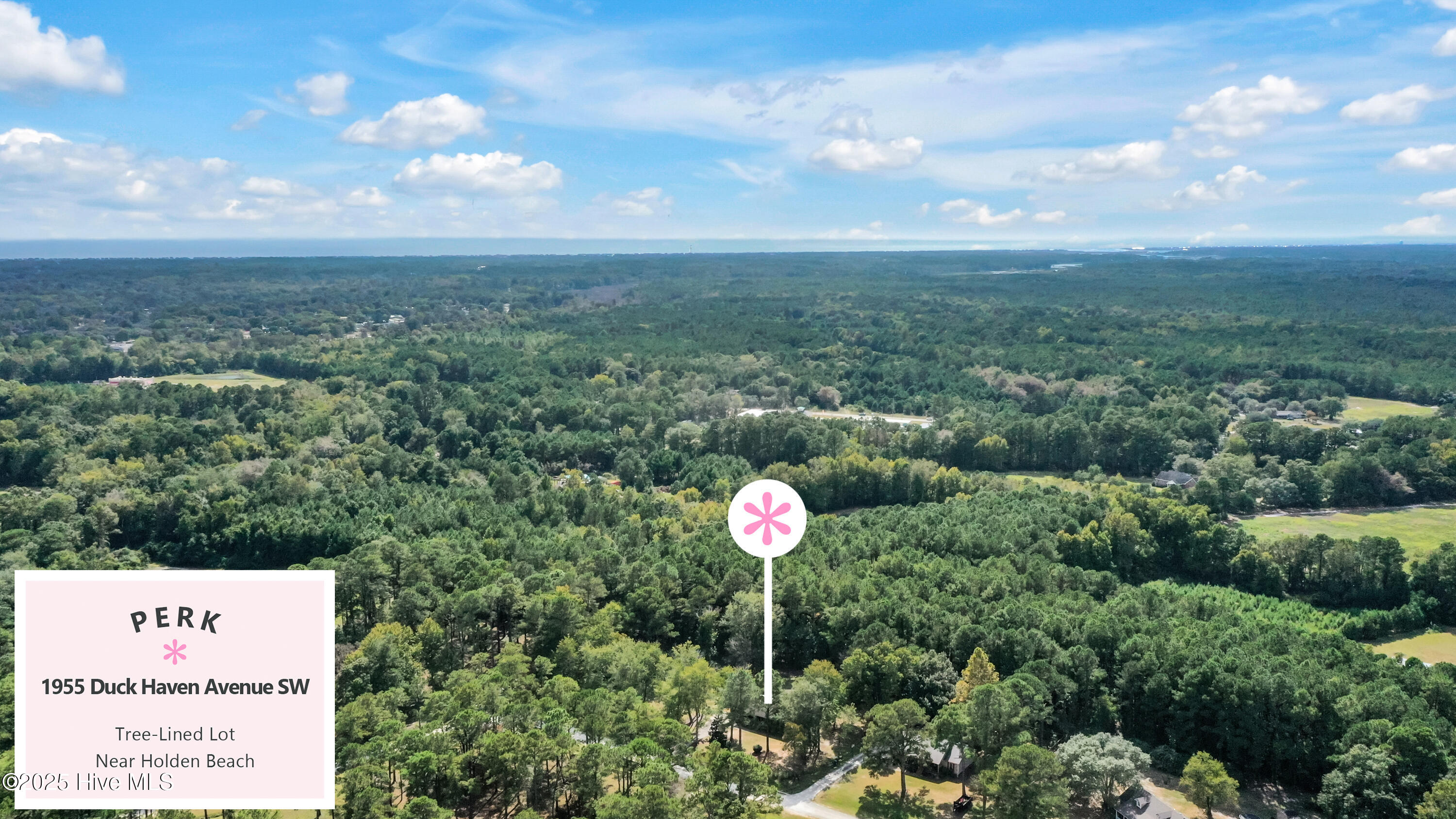 100538447 | Photo 47