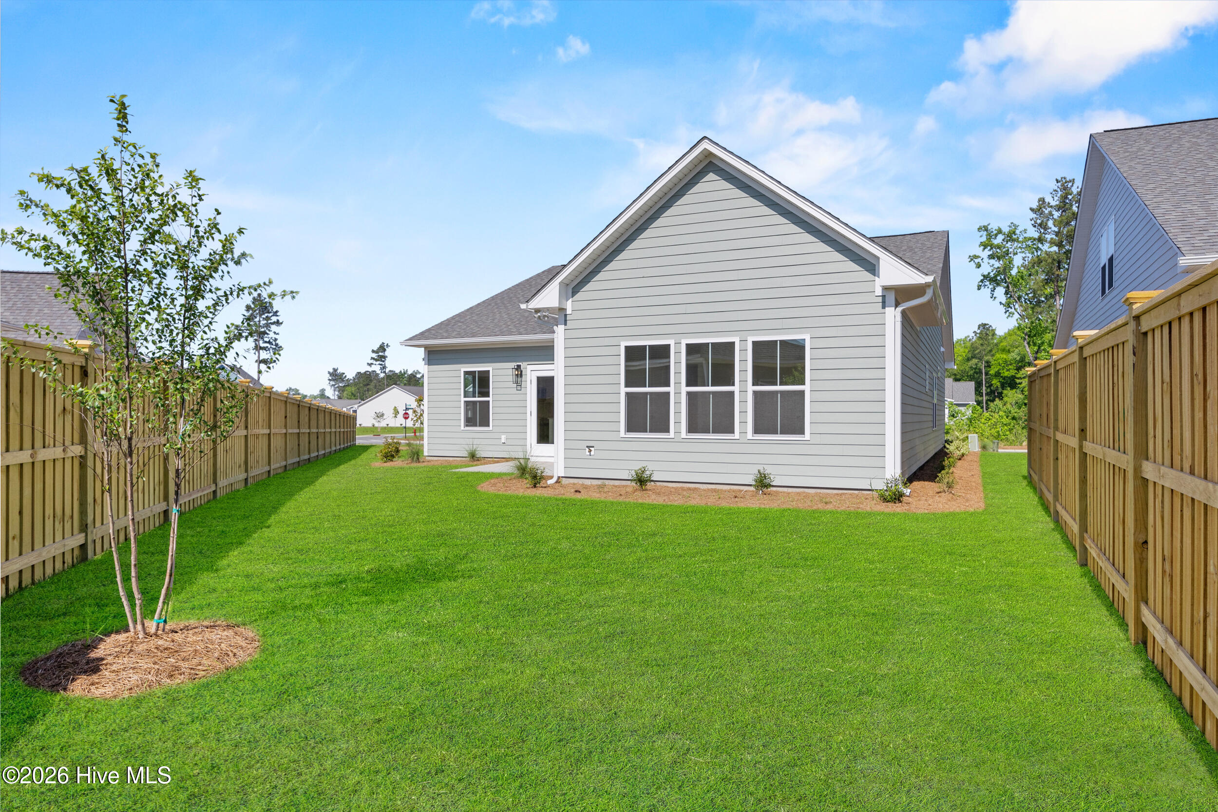 100551079 | Photo 30