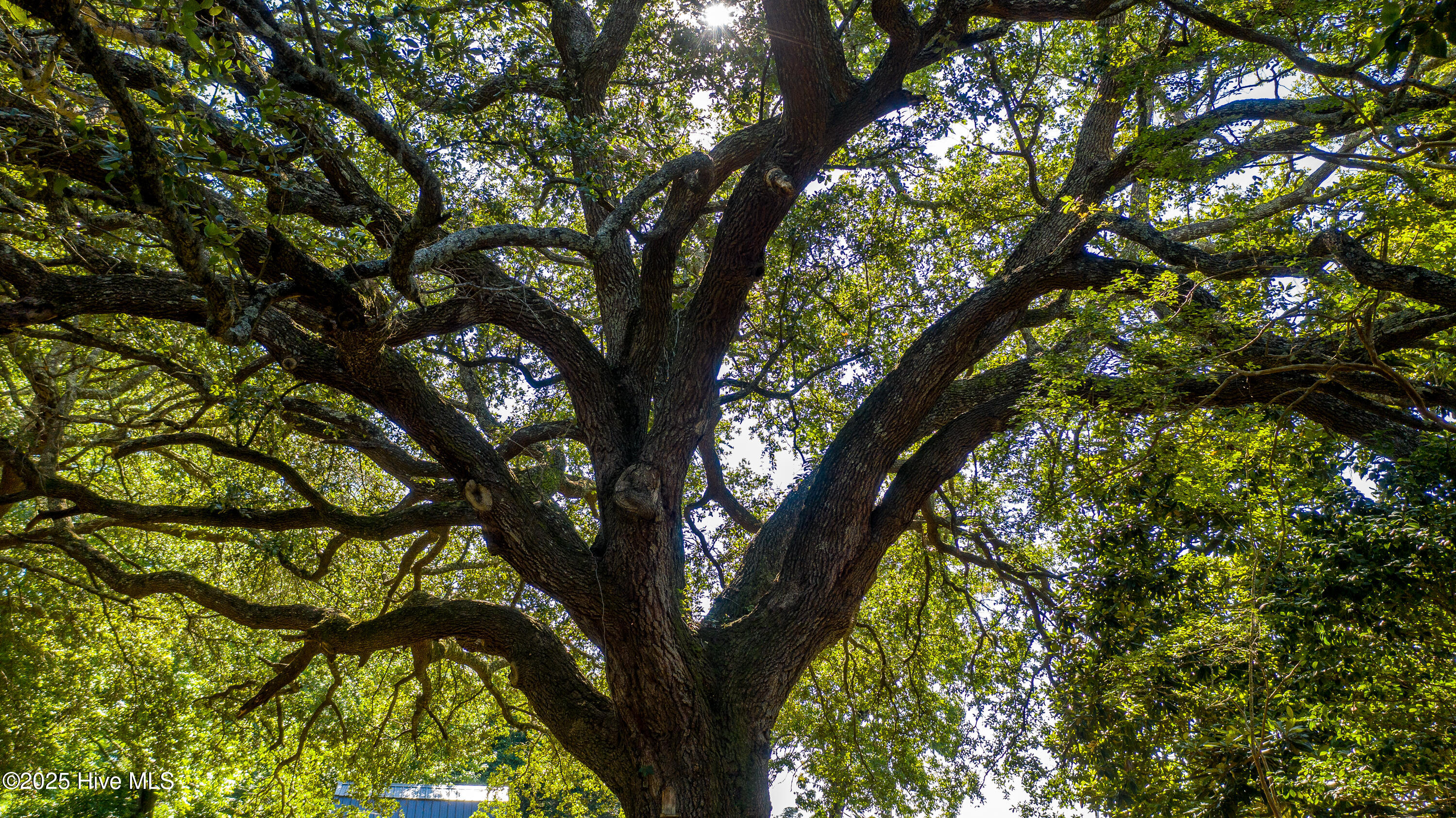 1559 Nc-24, Newport, NC, 28570