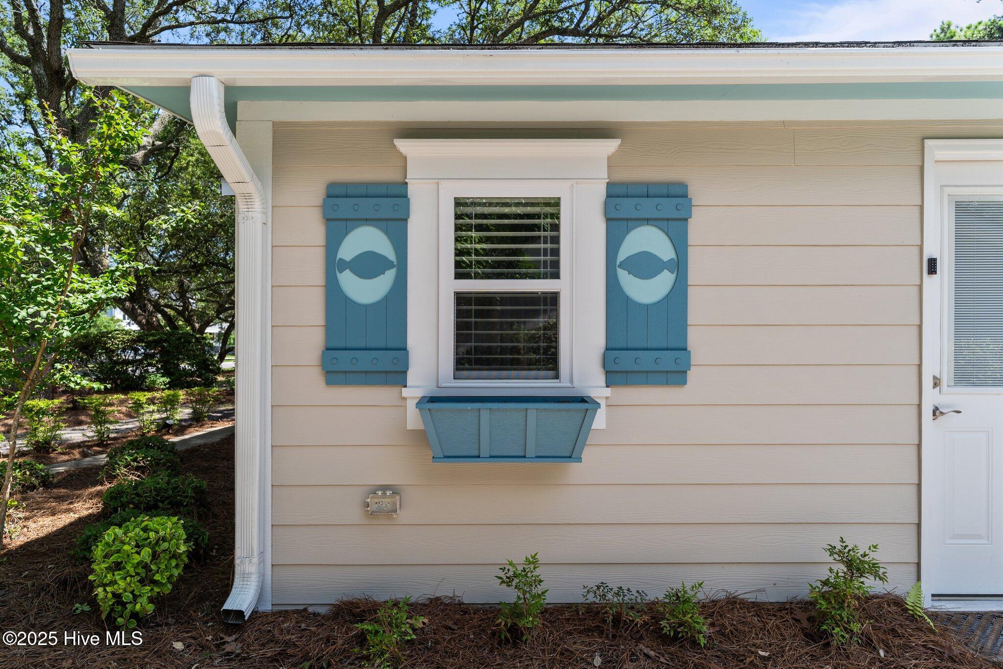 100514497 | Photo 11