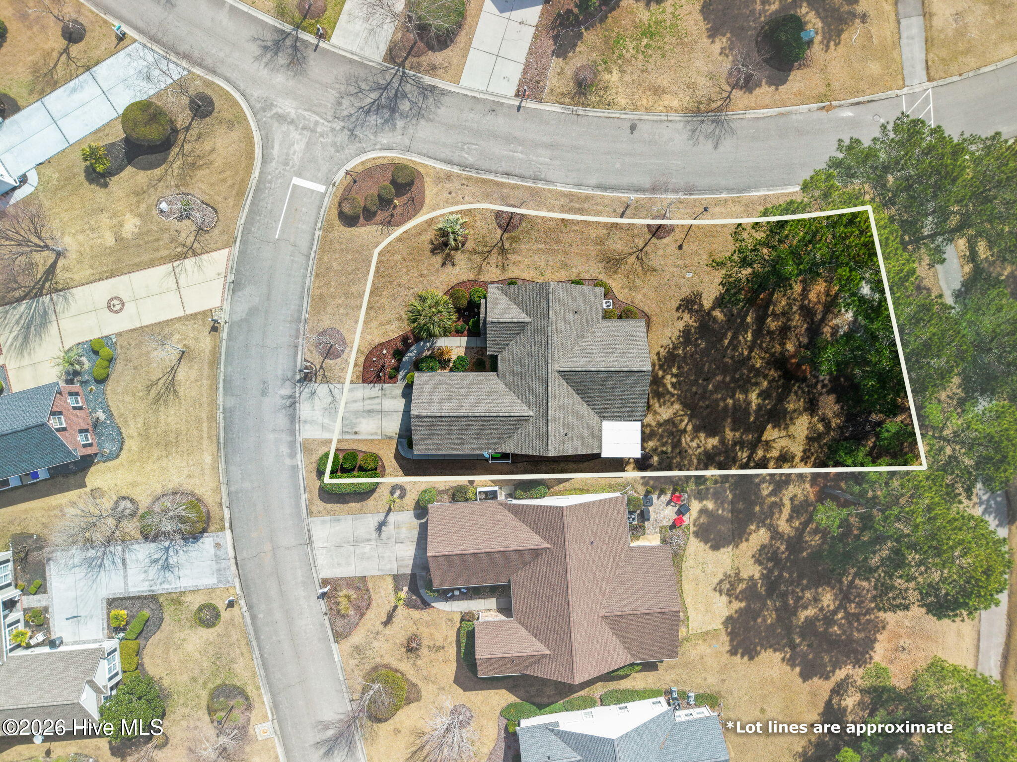 100558650 | Photo 31