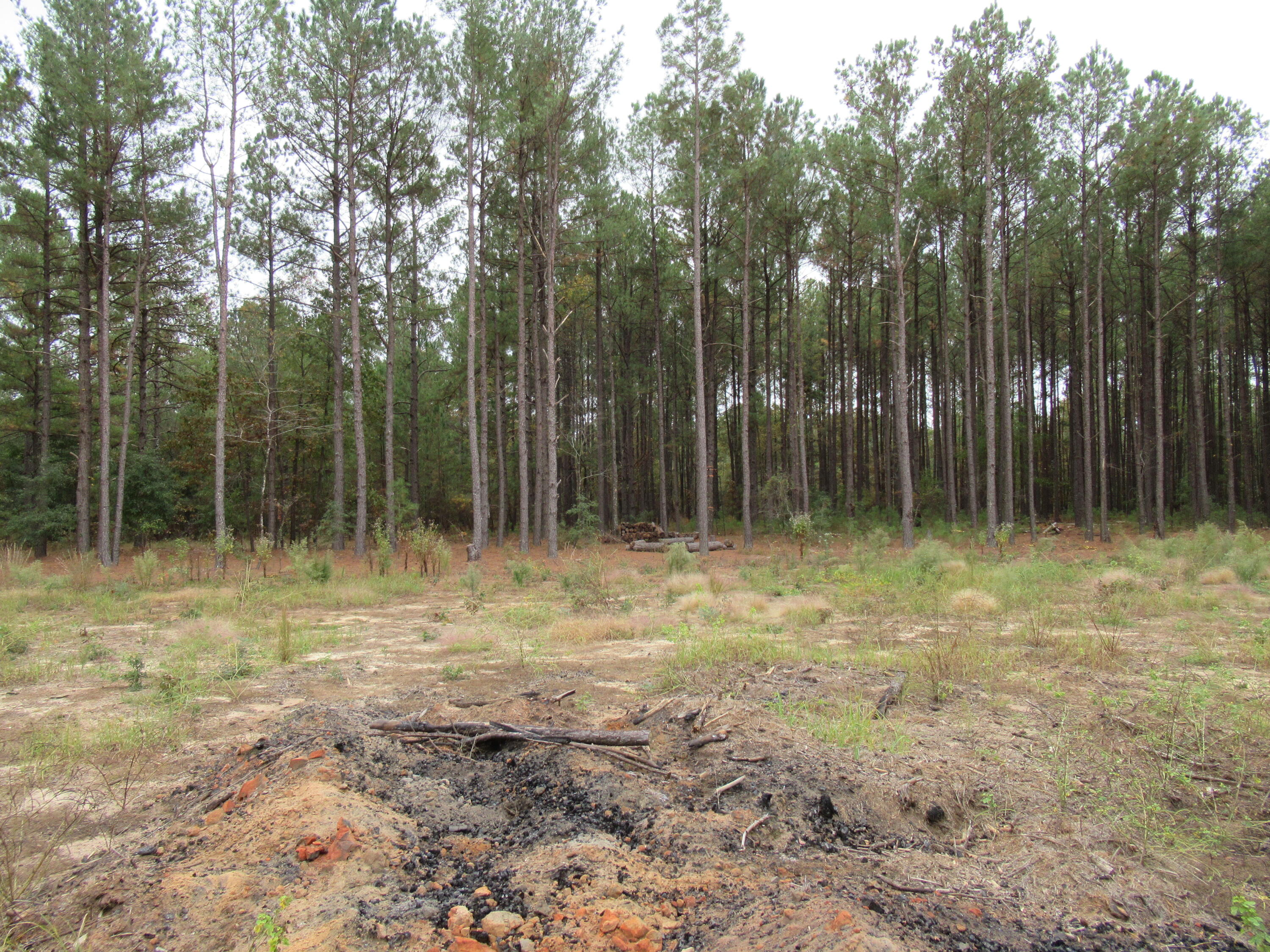 0 TWIN PINES RD., Keysville, GA, 30816