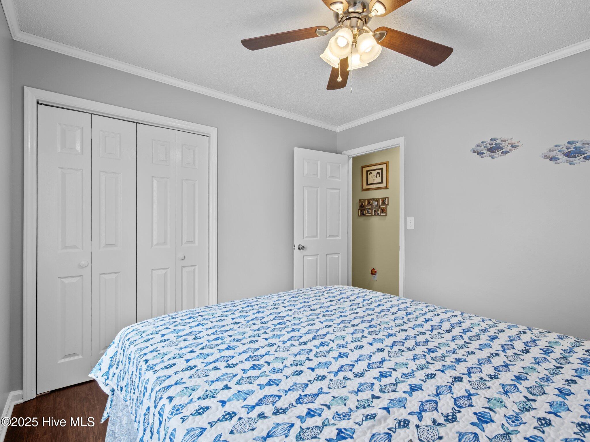 100516980 | Photo 28