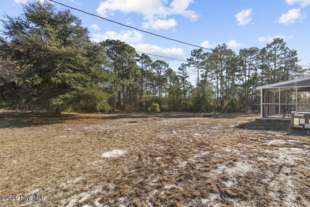 100541979 | Photo 19