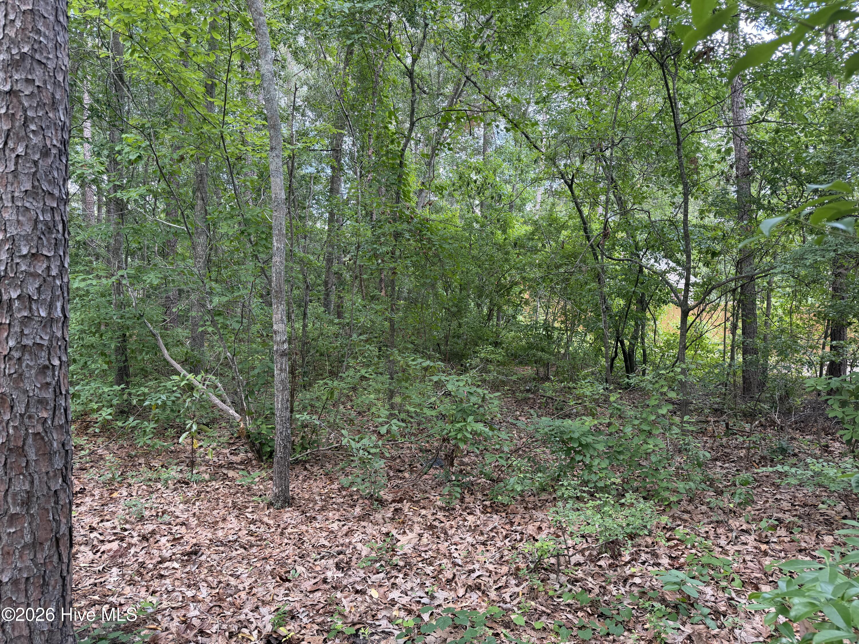 118 66 Ferret Run Lane,New Bern