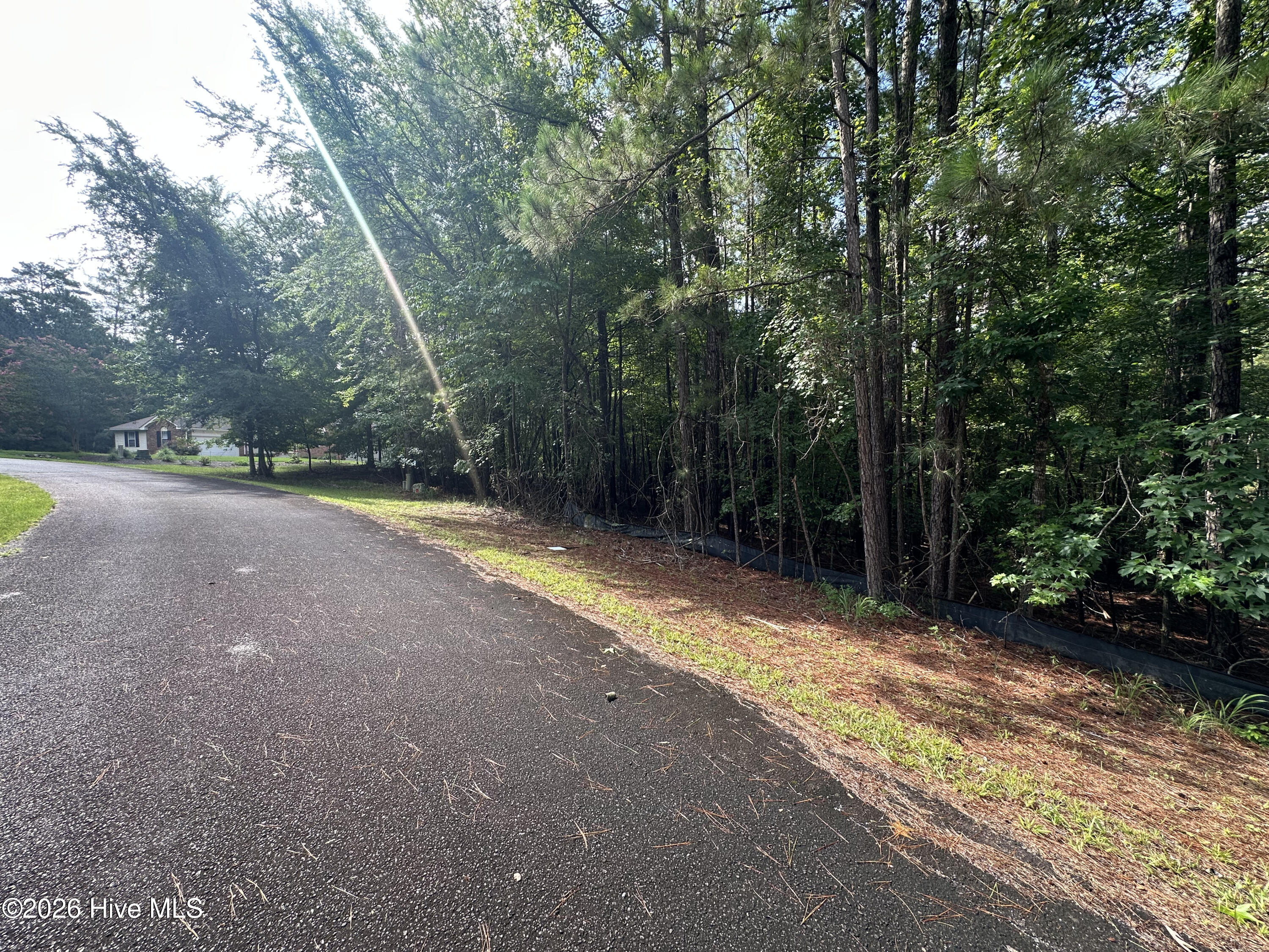 2nd image of B15 L26 Blair Ln, Mc Cormick, SC 29835 | MLS# 100589935
