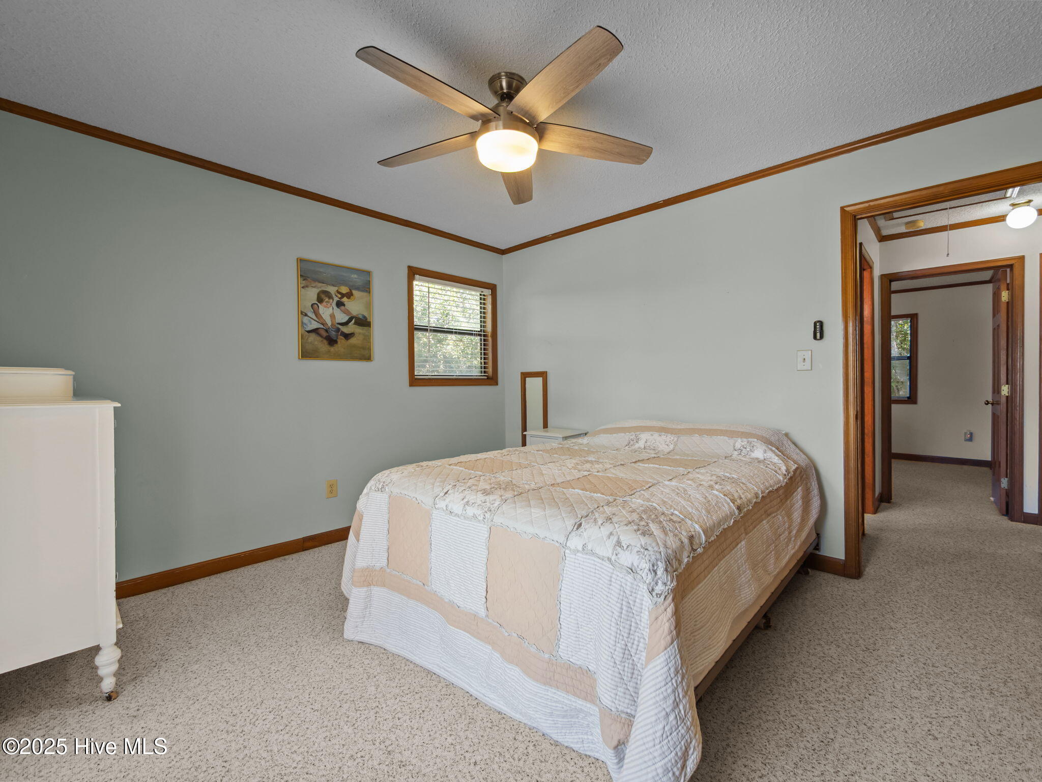 100533073 | Photo 31