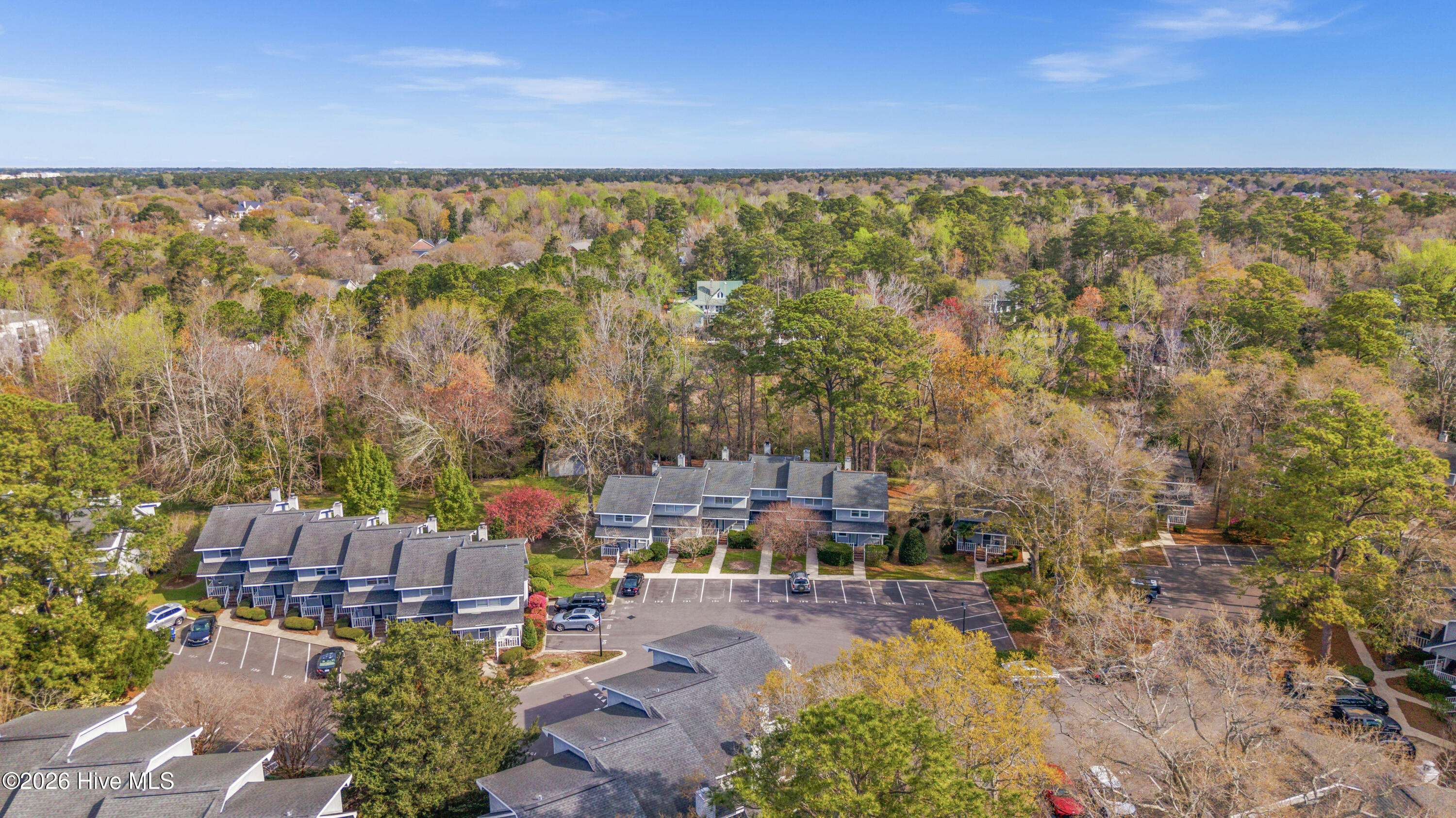 100561639 | Photo 57