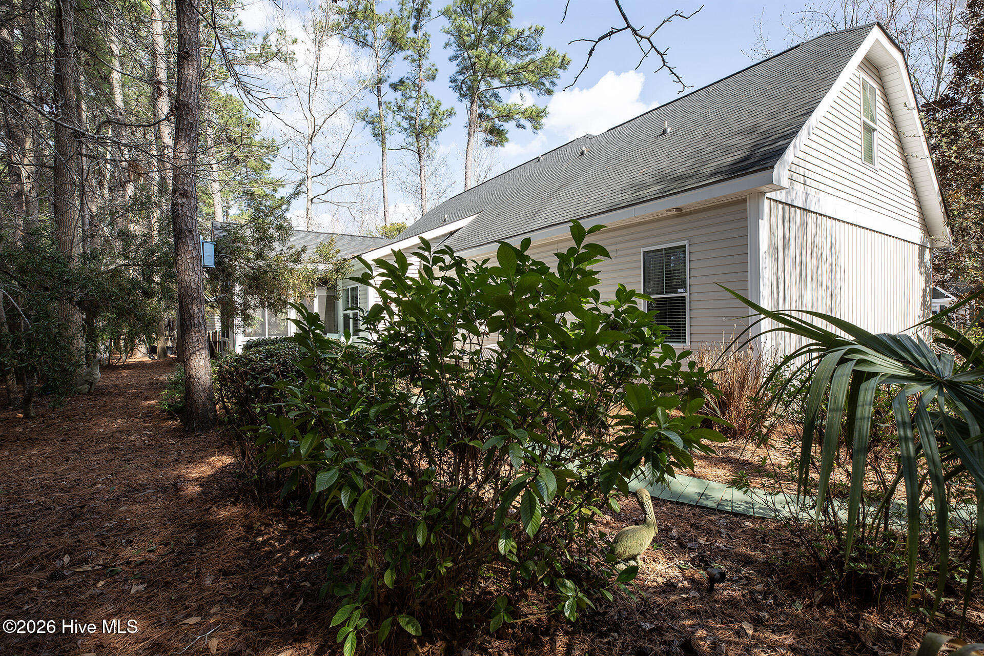 100558971 | Photo 47