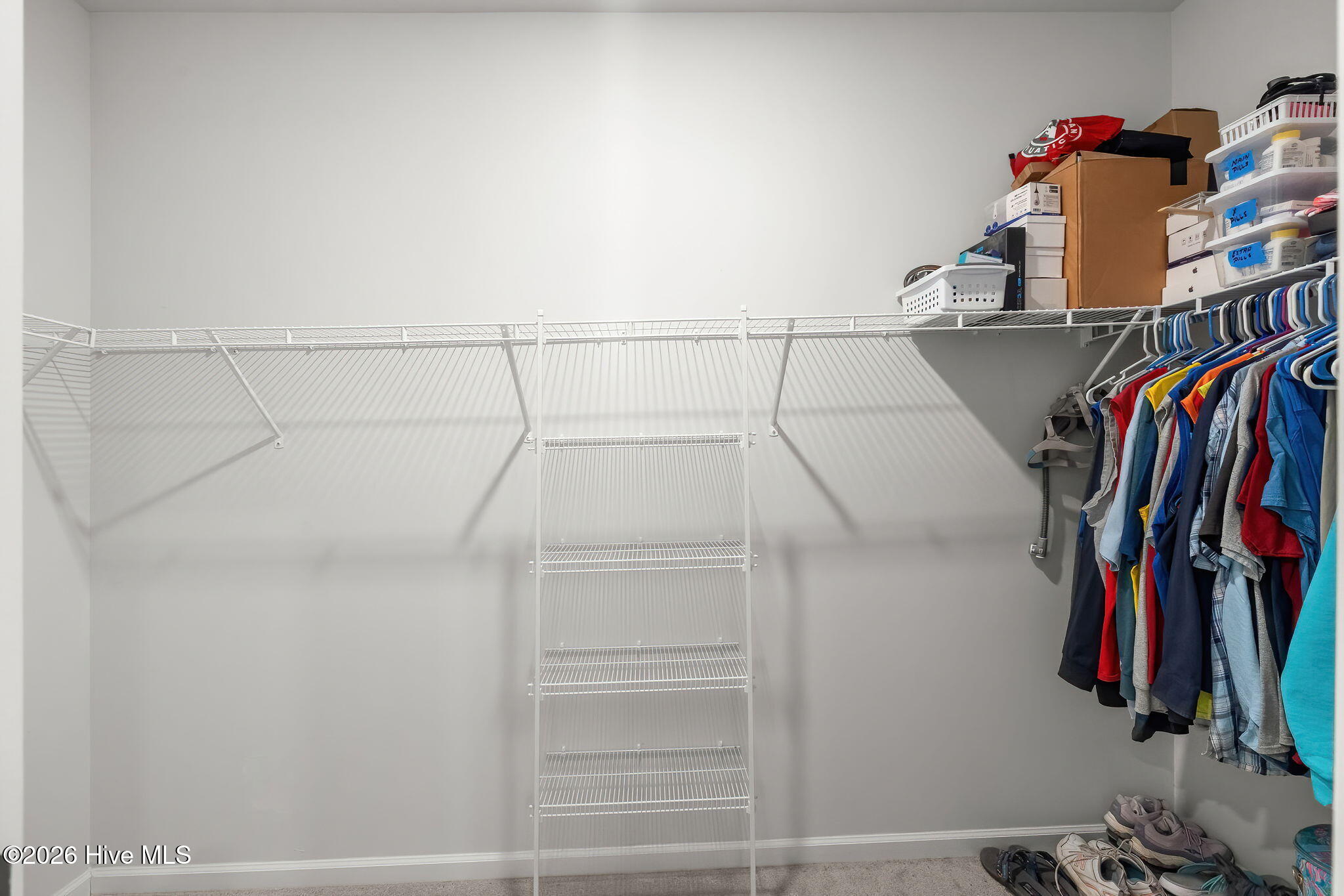 100557822 | Photo 29