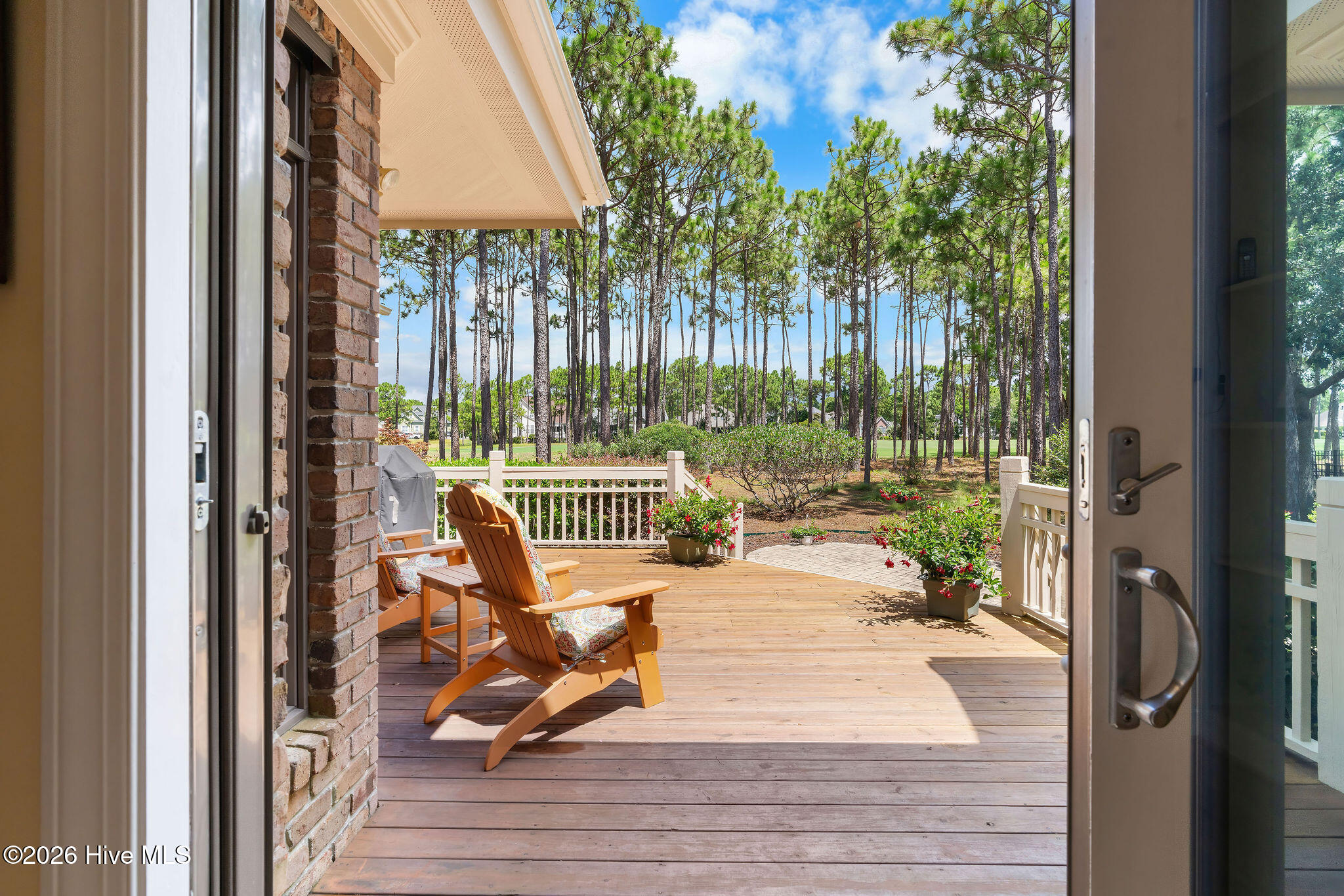 100548545 | Photo 15