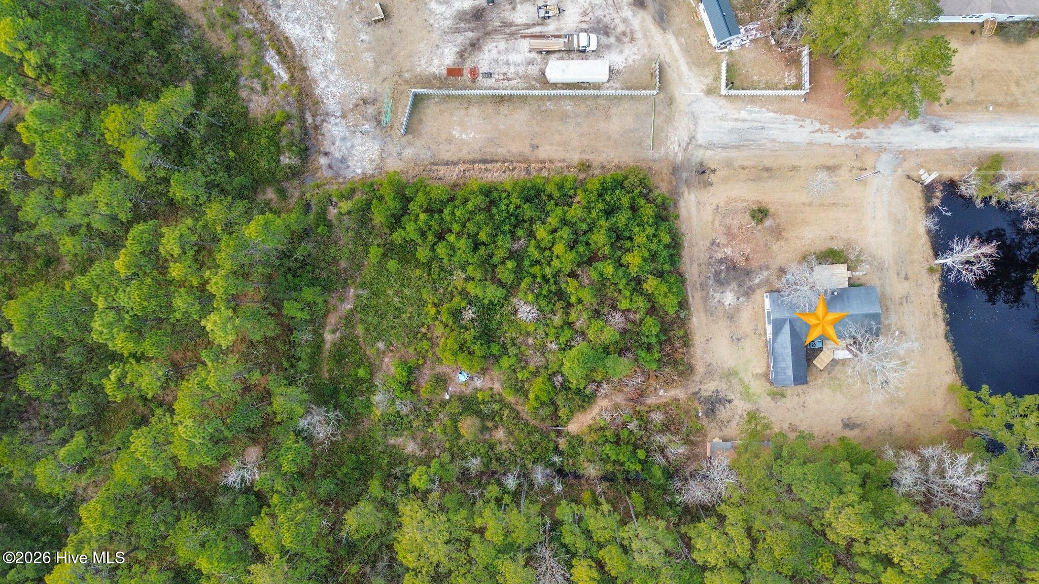 100553842 | Photo 35