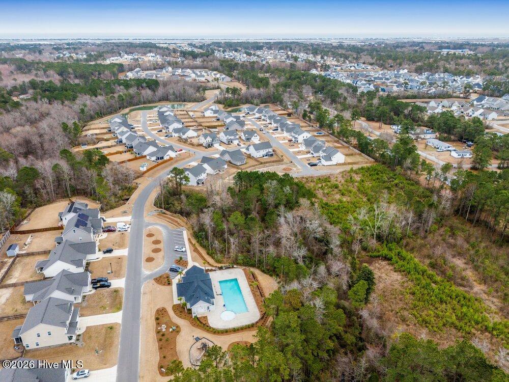 100558319 | Photo 36