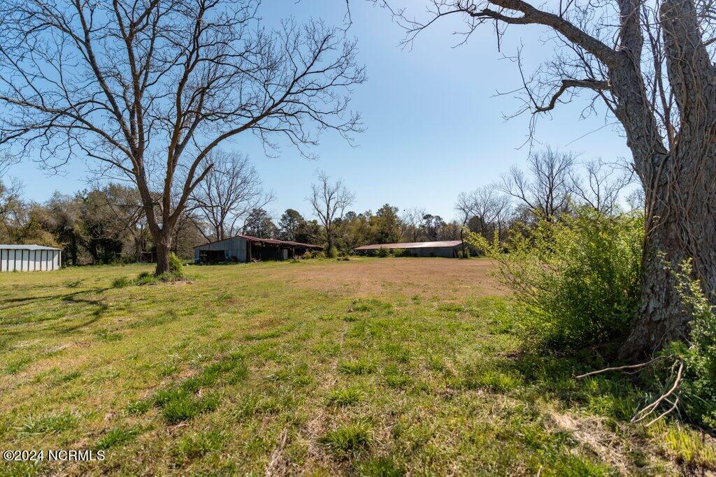 100516125 | Photo 24