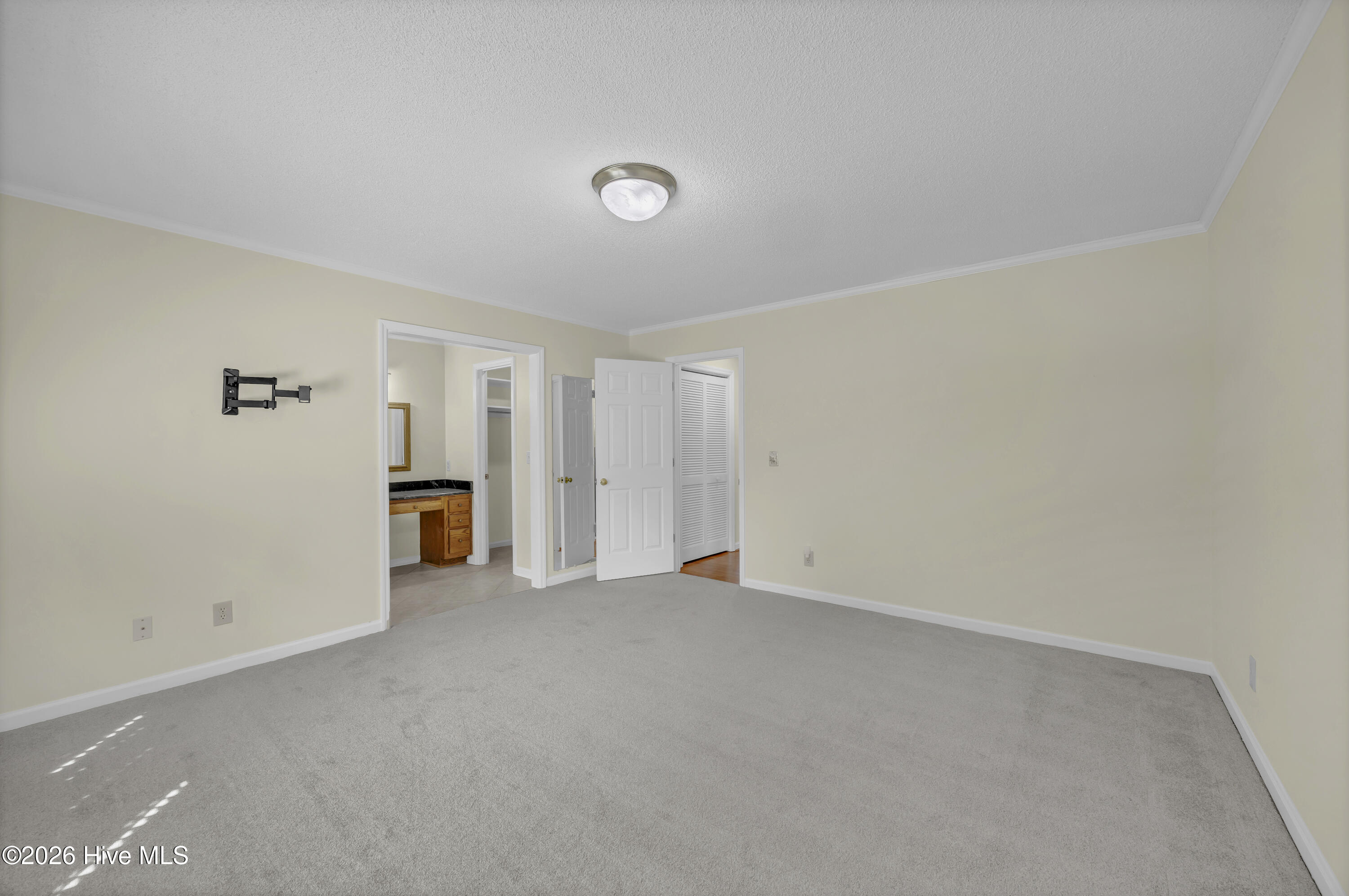 100567134 | Photo 15