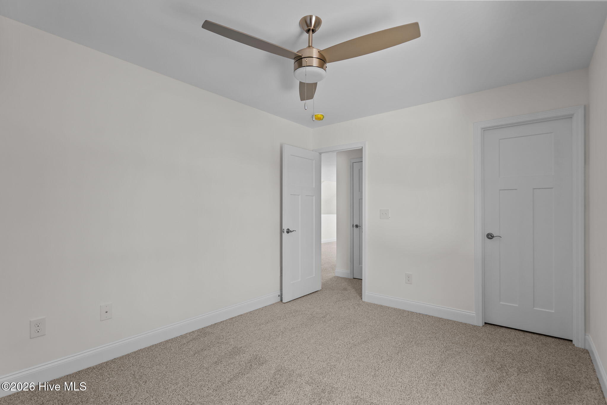 100528702 | Photo 39