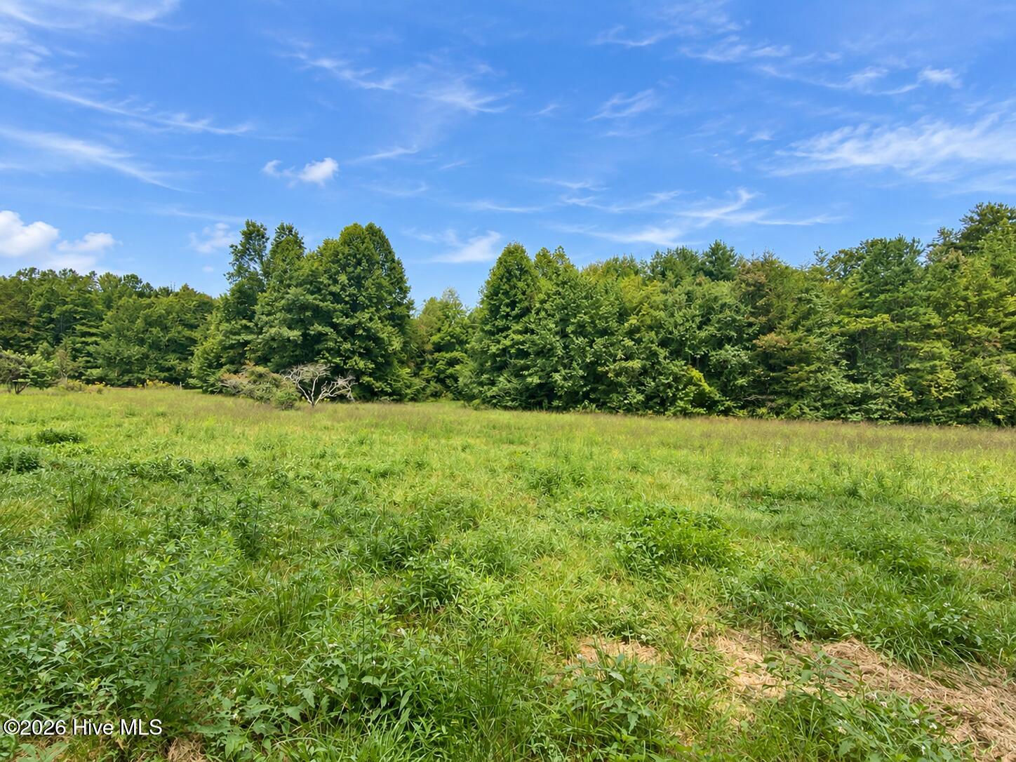 100605085 | Photo 3